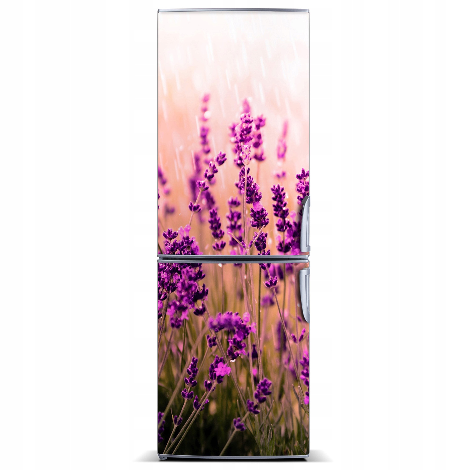 

Naklejka magnetyczna Magnes Pole lawendy 60x180