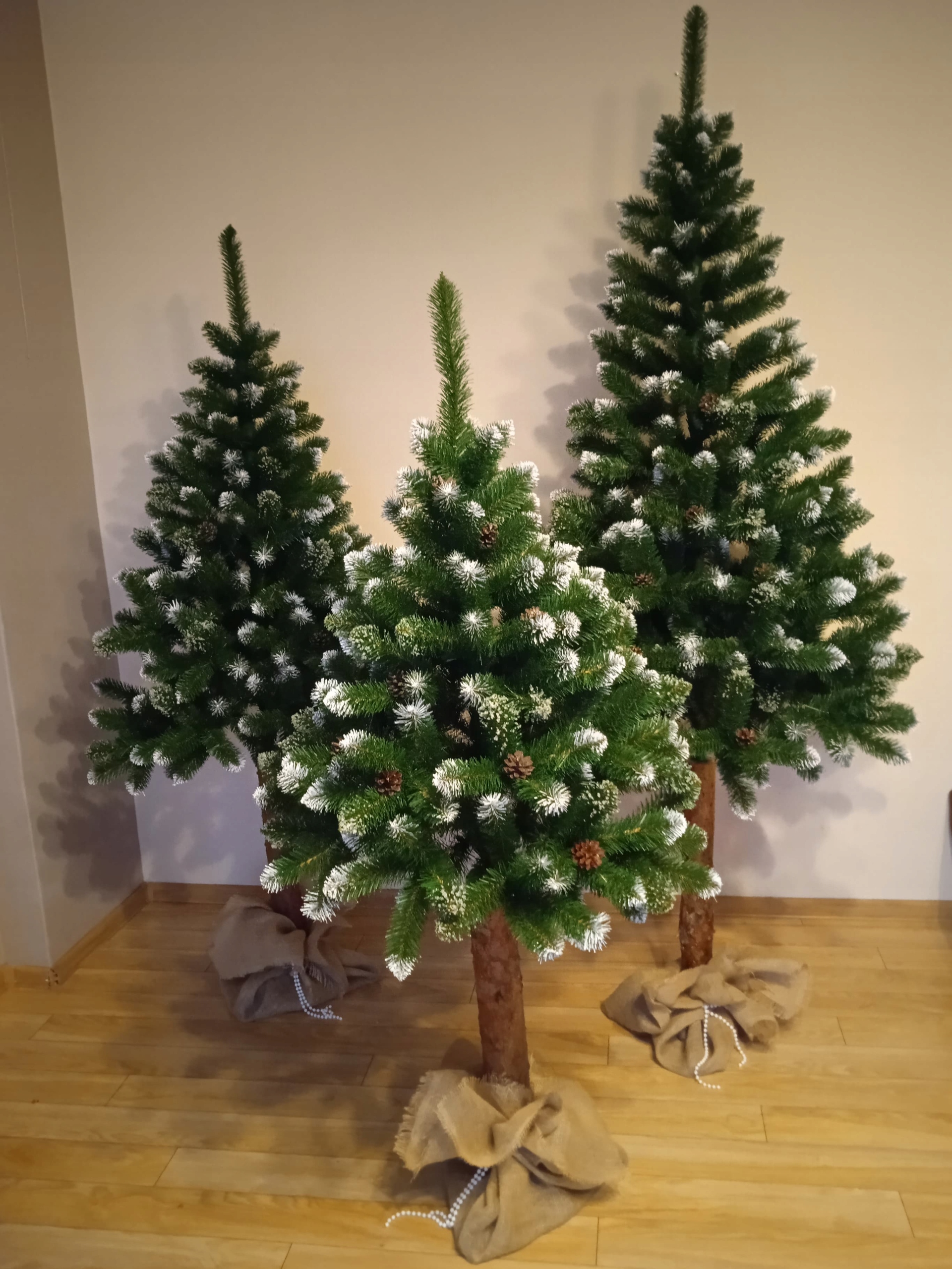 

Choinka Na Pniu Sosna Ośnieżona 220 cm Premium