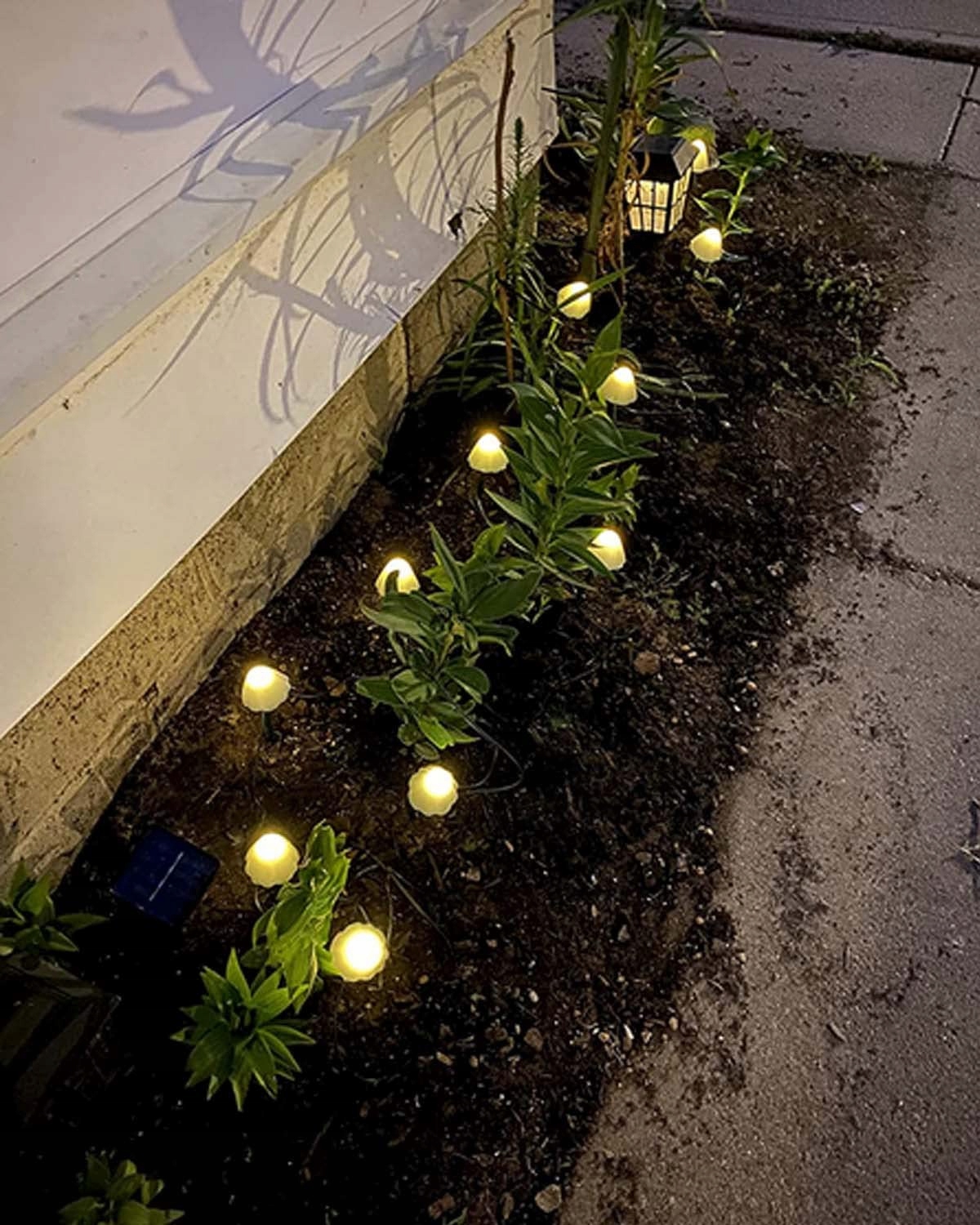 DEKOFUN Solarna Girlanda LED Grzyby Oświetlenie Ogrodowe Na Zewnątrz — miniatura 7