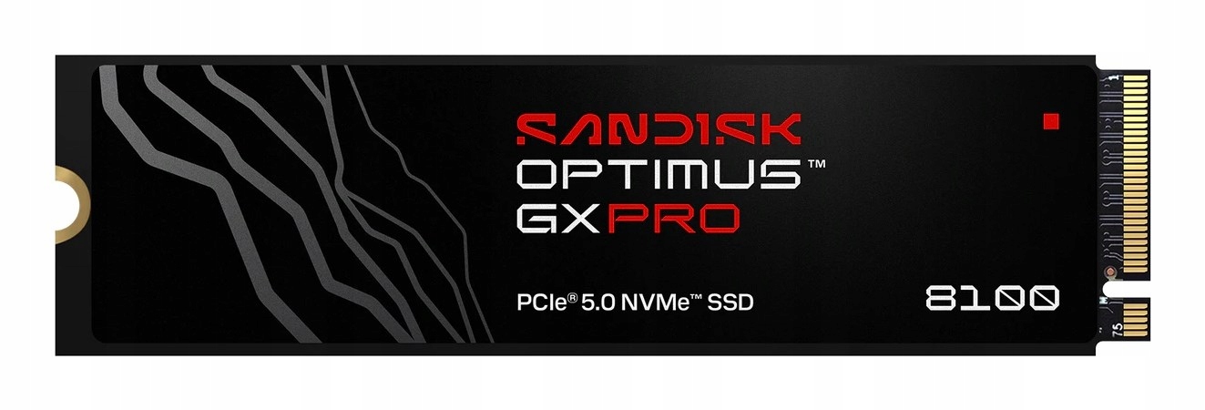 Ssd disk Sandisk Optimus Gx Pro 8100 1TB SDSP82100TAN