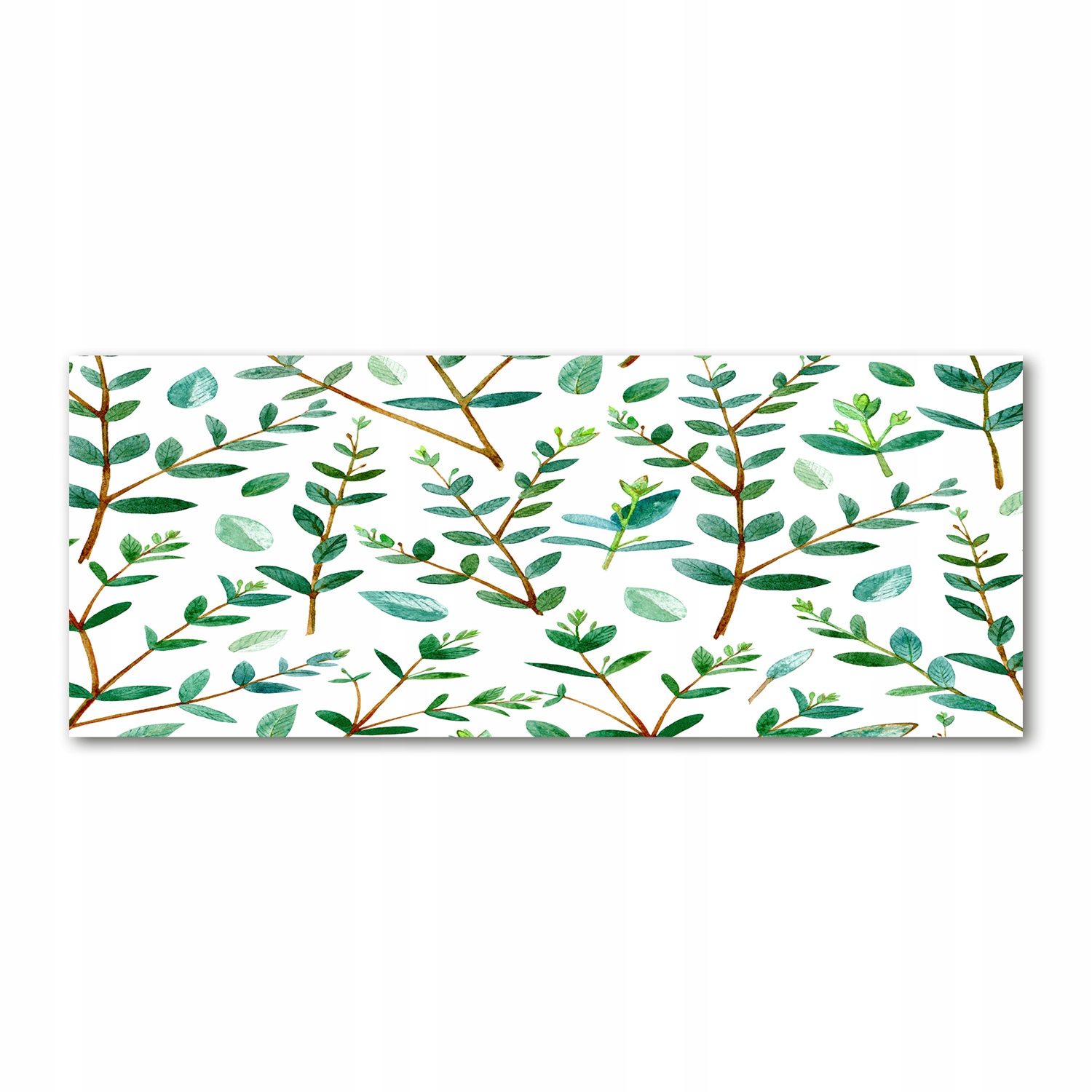 

Foto obraz akryl nowoczesny Eukaliptus 125x50 cm