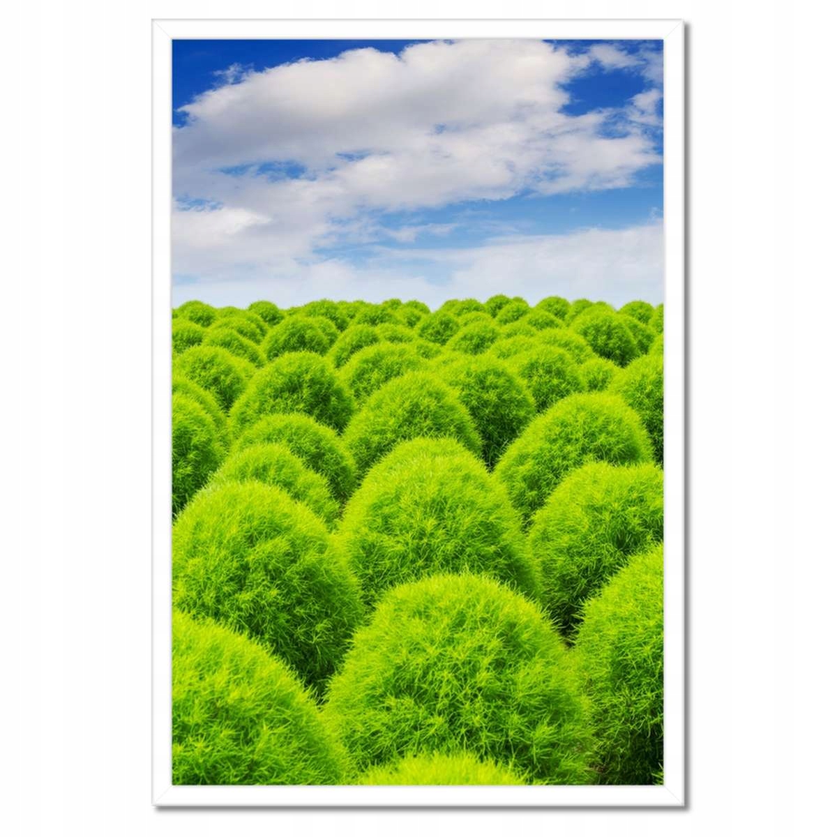 Plakáty v rámu 40x60 Zelený pohled Dolina