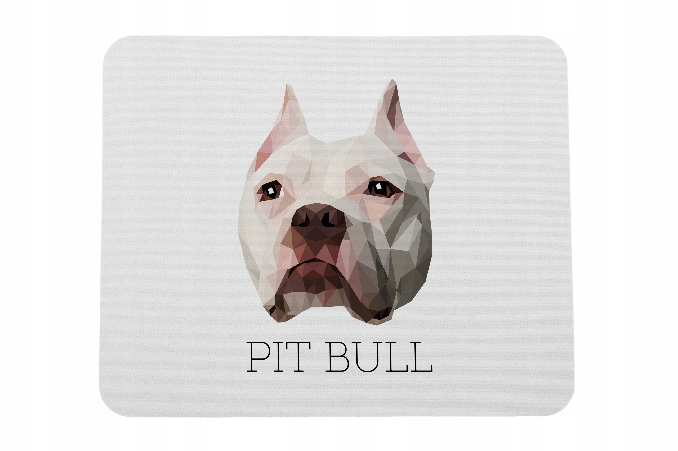 Amerykański pitbulterier, Pit Bull, American Pit Bull Terrier, Pitbul, Apbt