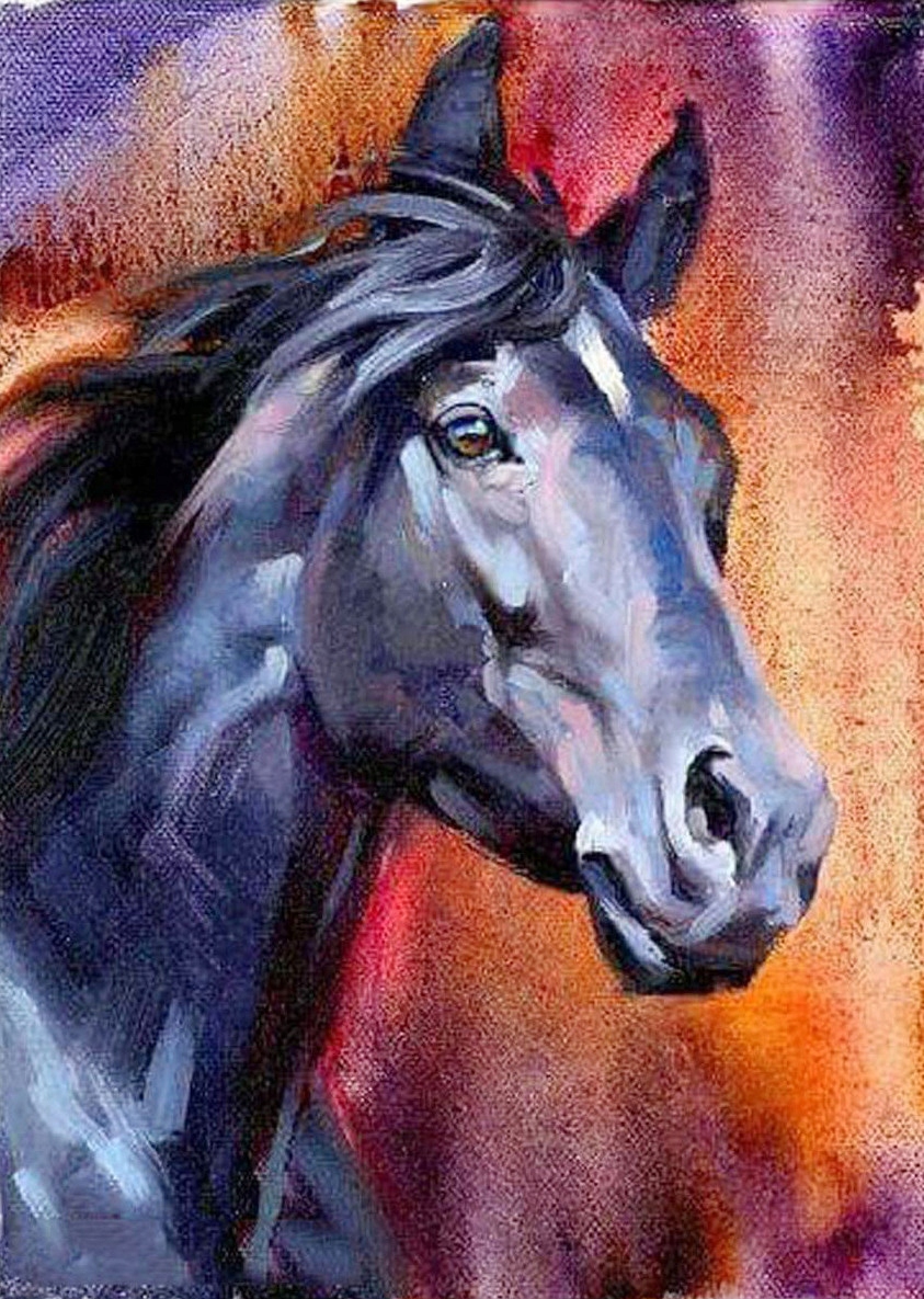 Mozaika diamantové malování, diamantová výšivka 50x70