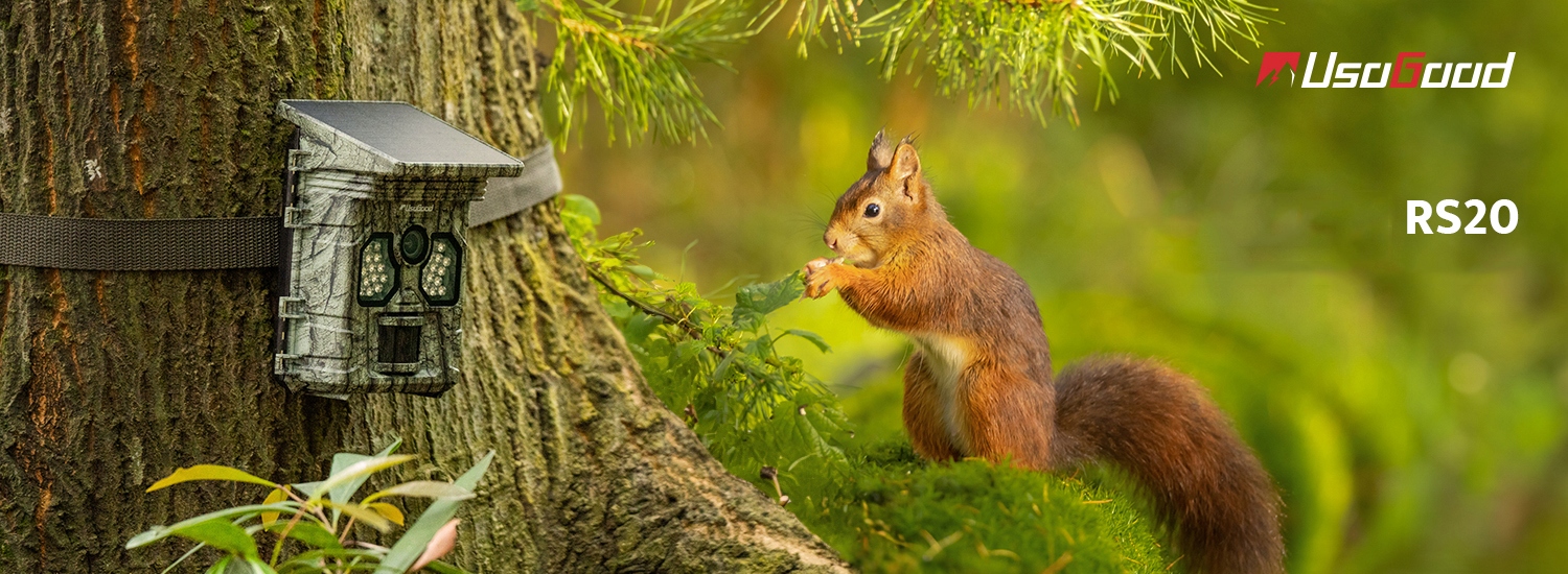 Fotopułapka IR Solarna Kamera Leśna Myśliwska 4K 48Mpx POLSKIE MENU Komunikacja brak
