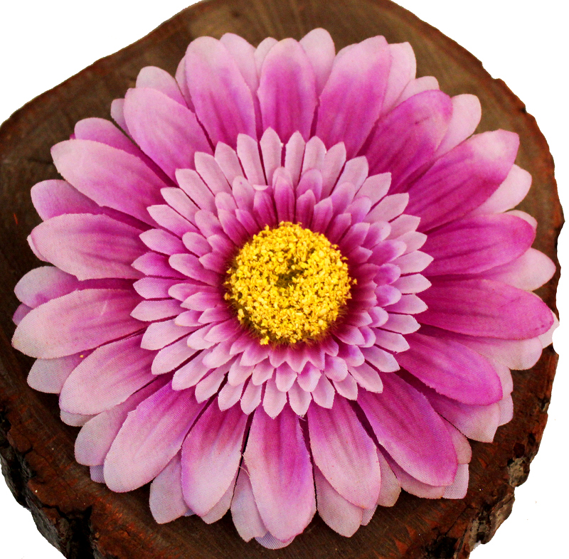 

Gerbera Główka Wyrobowa XXL12 Lawendowy