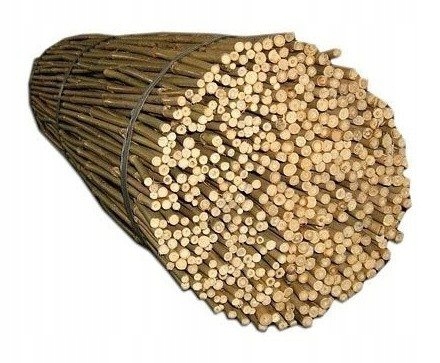 TYCZKA Bambusowa150cm Paliki do pomidorów -10szt EAN (GTIN) 5902802918635