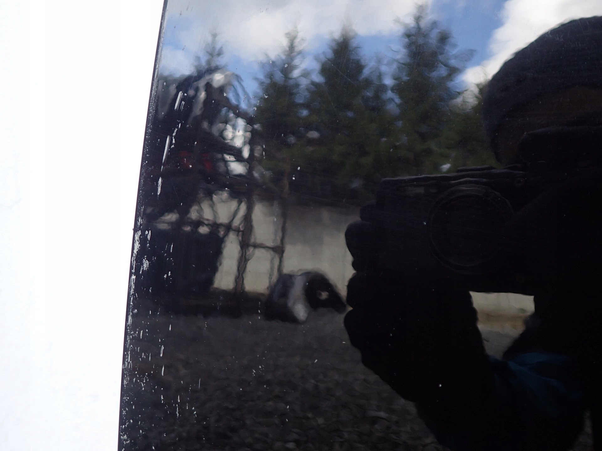 door left rear. left rear part MINI COUNTRYMAN F60
