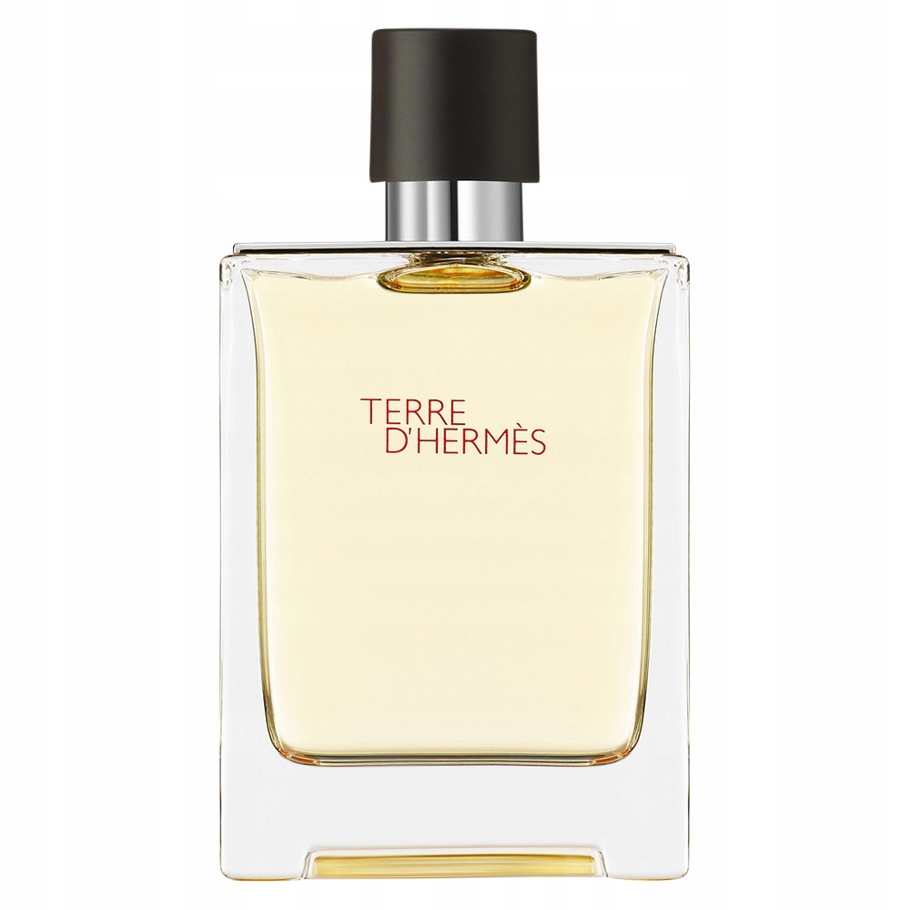 Hermes Terre D'Hermes toaletní voda sprej 100 ml