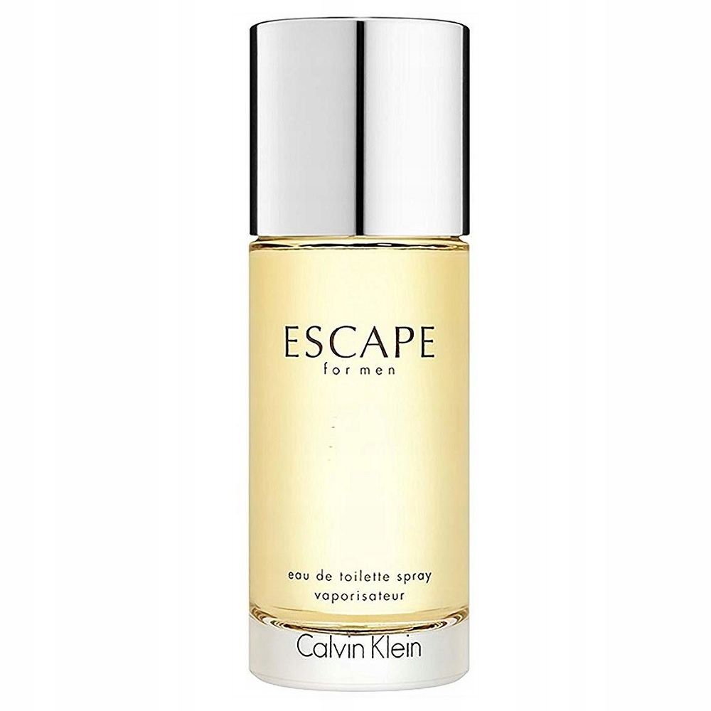 Calvin Klein Escape for Men toaletní voda sprej 100 ml