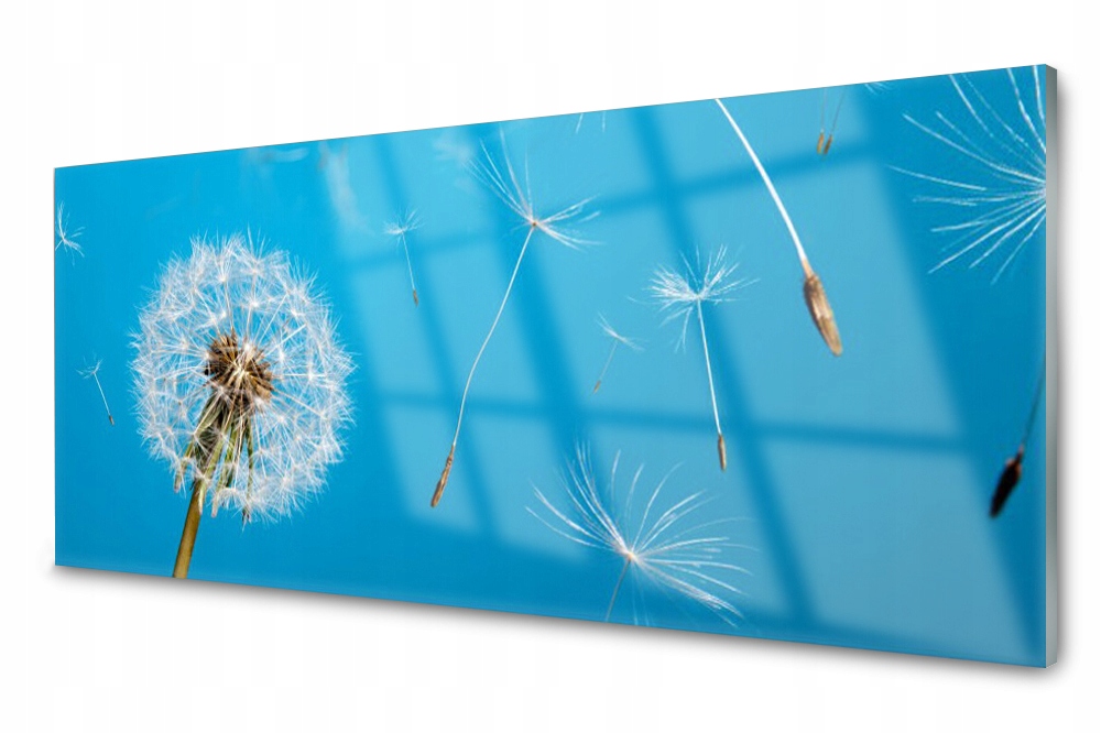 Sklenený panel do kuchyne Púpavy Kvety 125x50