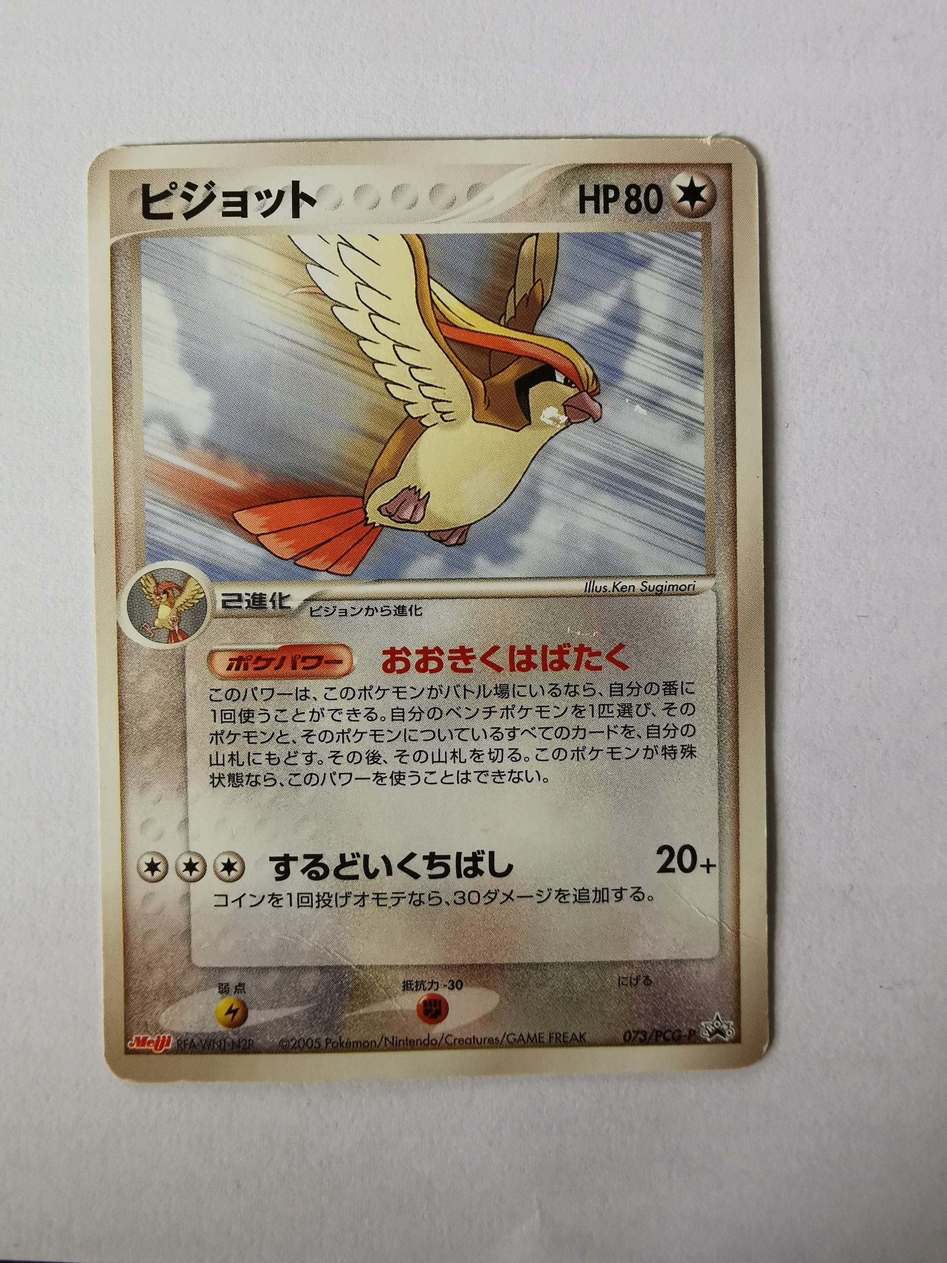 Pidgeot Promo - 2005 - 073/PCG-P - Japońska