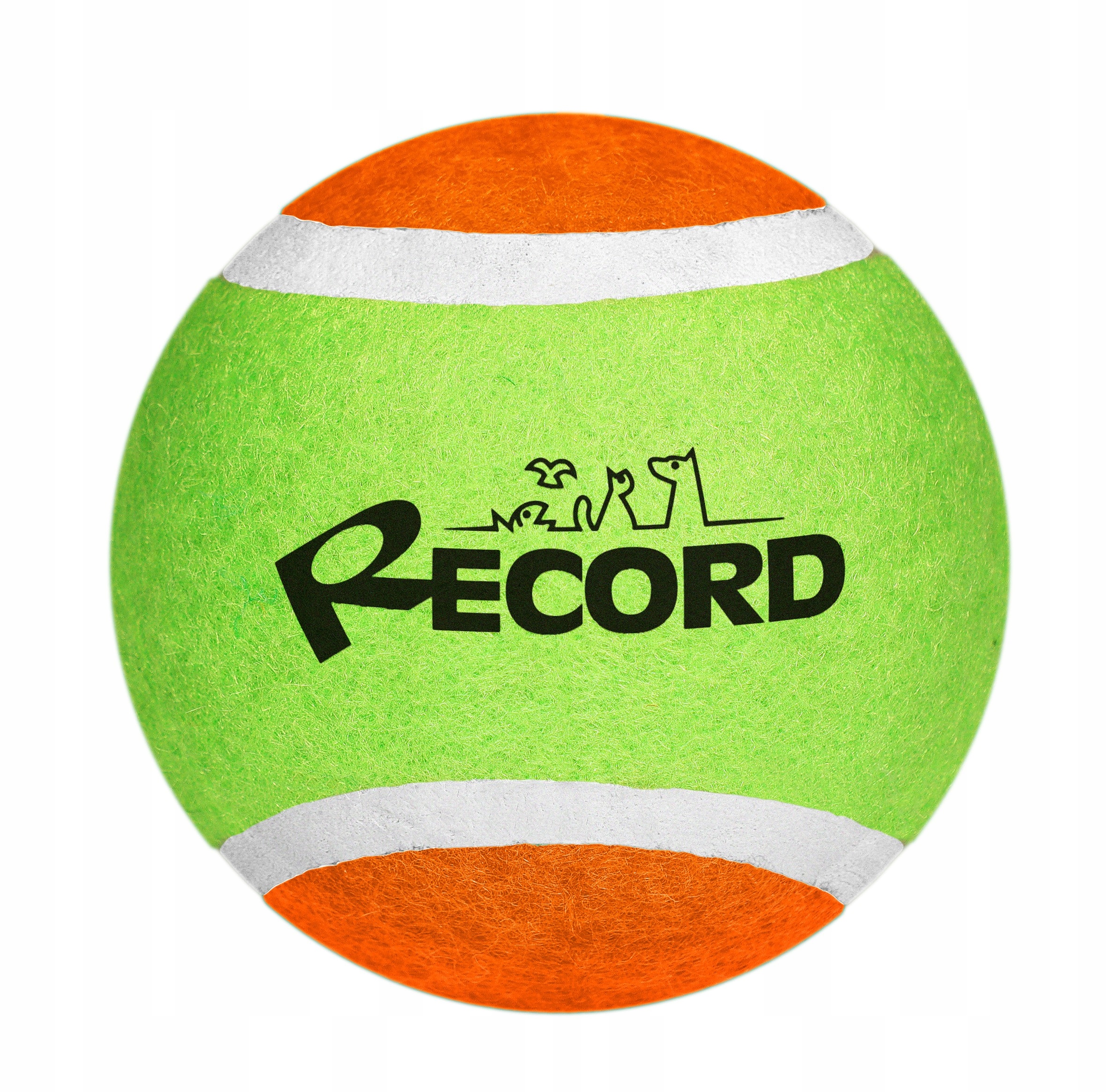 

Piłka tenisowa dla psa Record Zielony