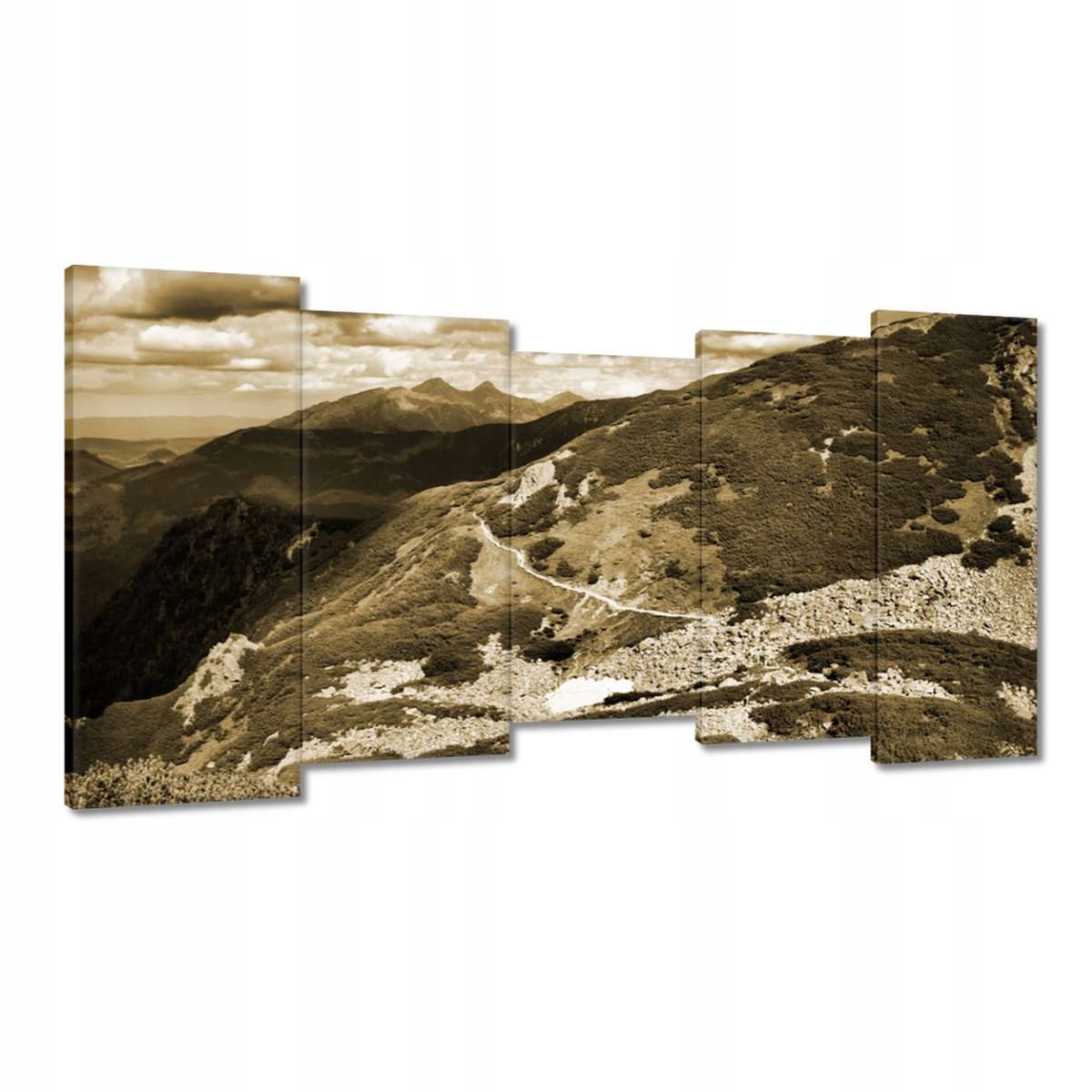 Obrazy 150x80 Tatry Polské hory Pohled