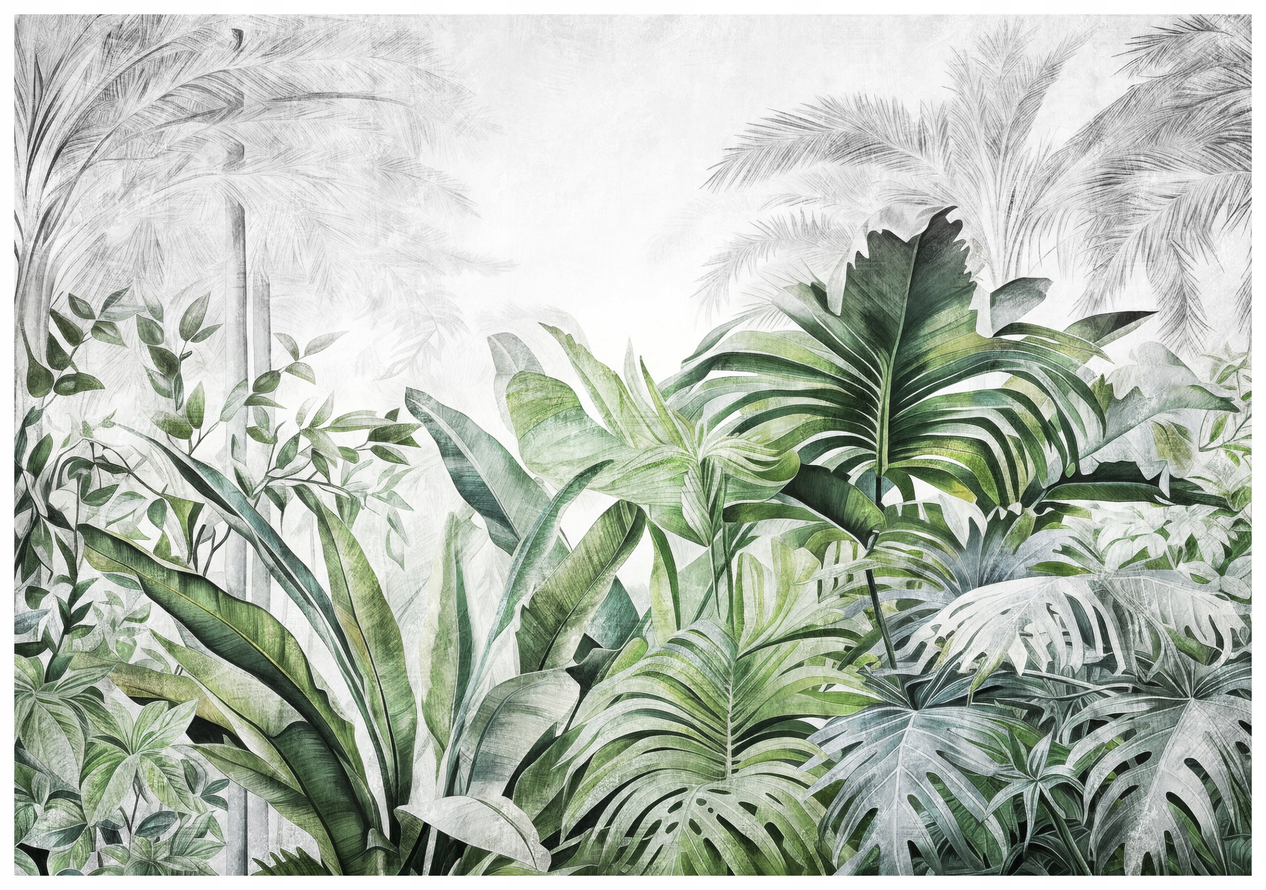 Fototapeta Tropické listy kapradí banány filodendrony 312x219 lepidlo