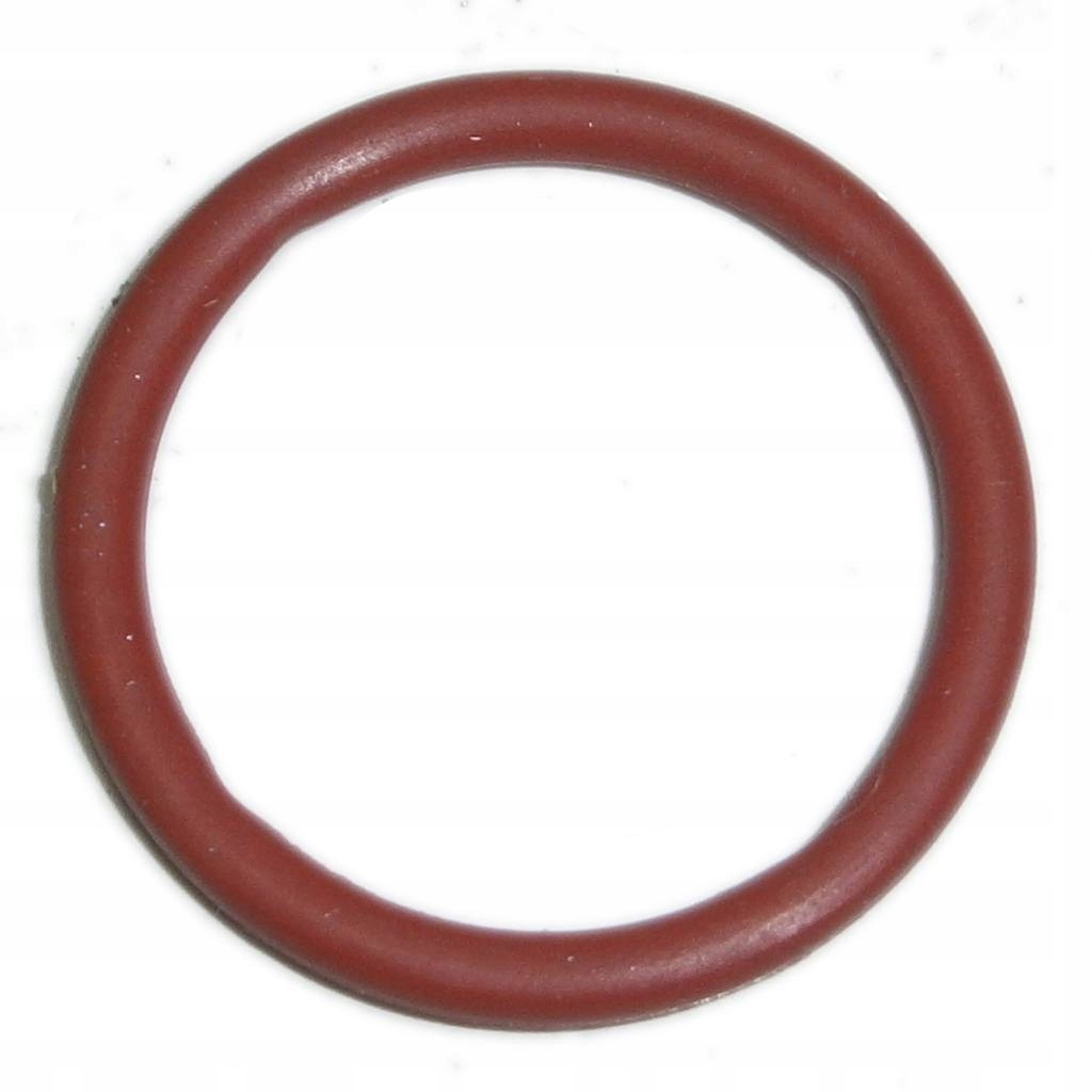 ORING BRIGGS 24x29x2 ZAM. 796595 793628