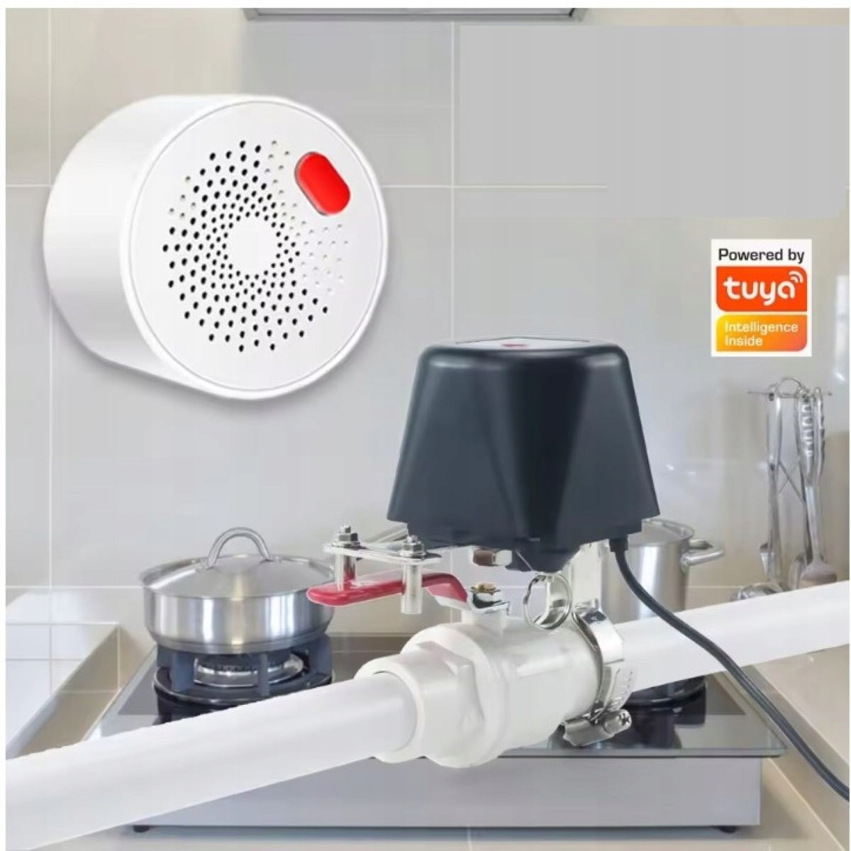 Wi-Fi rutulinio vožtuvo pavara Tuya Smart Life, IP65, 12 V – produkto nuotrauka