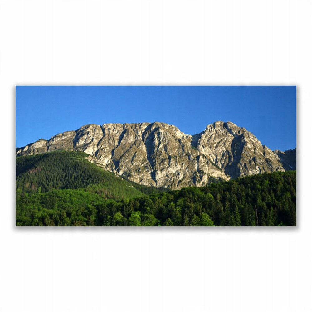 

Fotoobraz akryl nowoczesny 140x70 Góra Las Natura