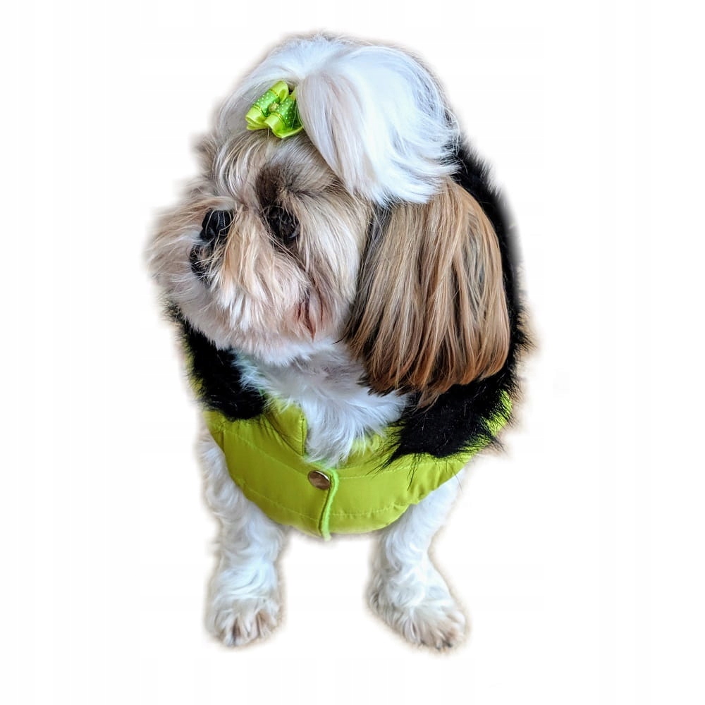 

Ręcznie szyta kurtka e neo zielona Xs Shih Tzu