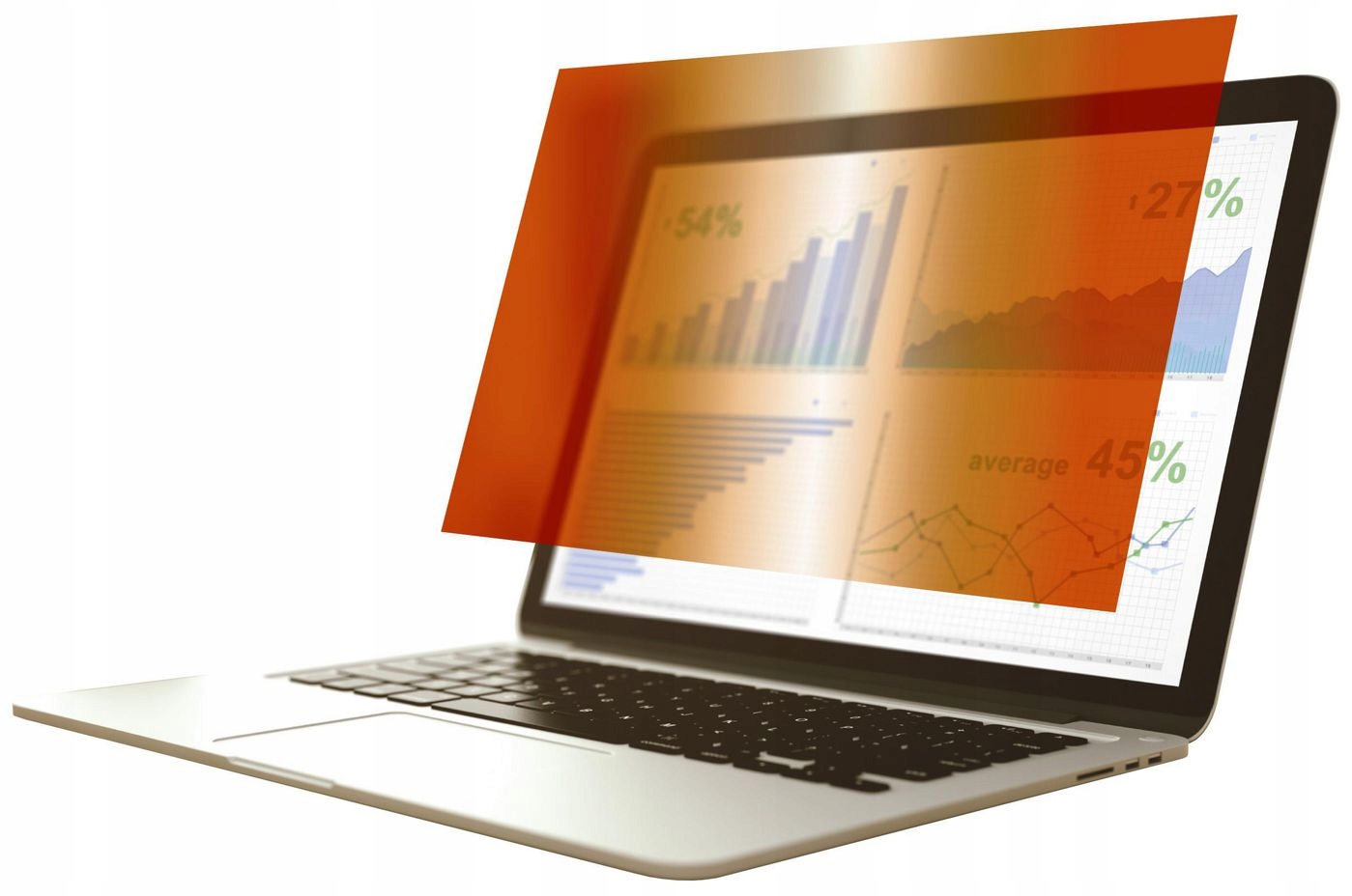 Privatizační filtr eSTUFF Gold 11.6"