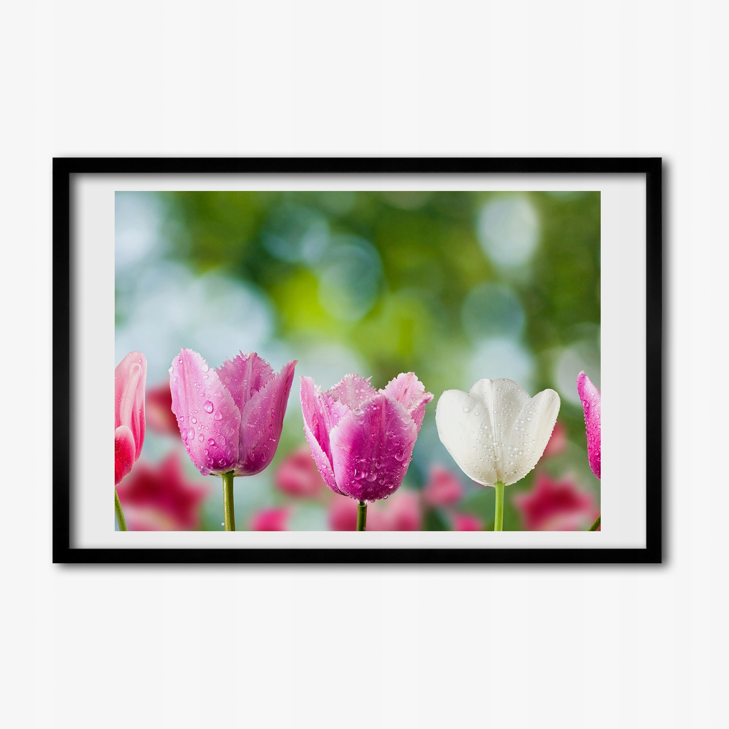 Moderní fotoobraz s Mdf rámečkem Tulipány 60x40