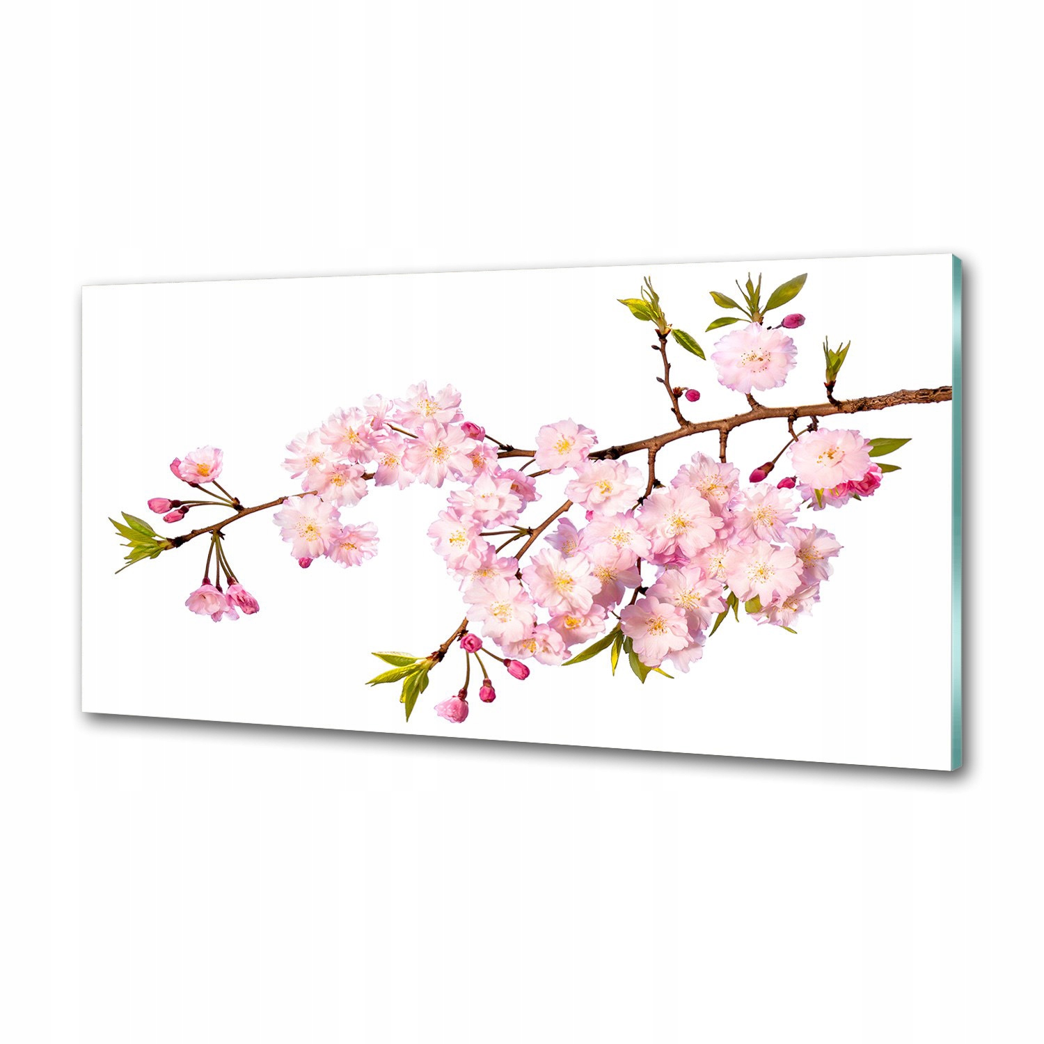 Panel dekor sklo Divoká ruža 120x60 cm Lepidlo