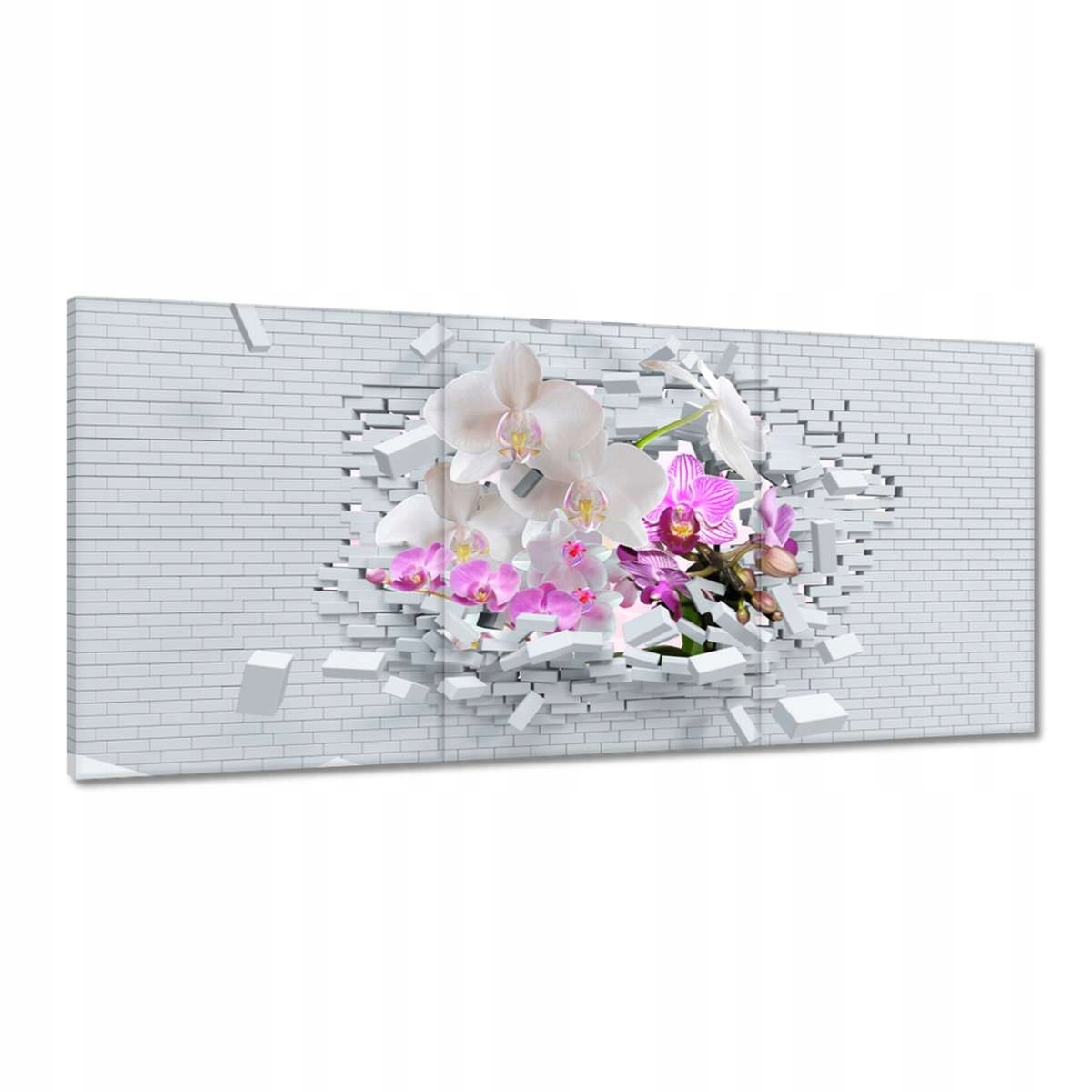 Obrazy 210x100 Orchidea v múre