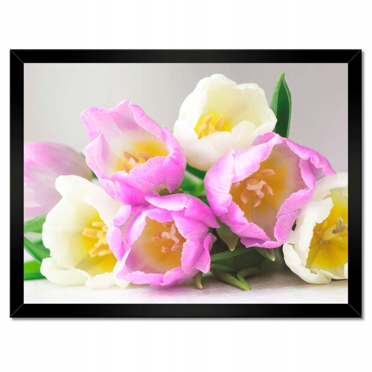 Plakáty v rámu 40x30 Jemné tulipány