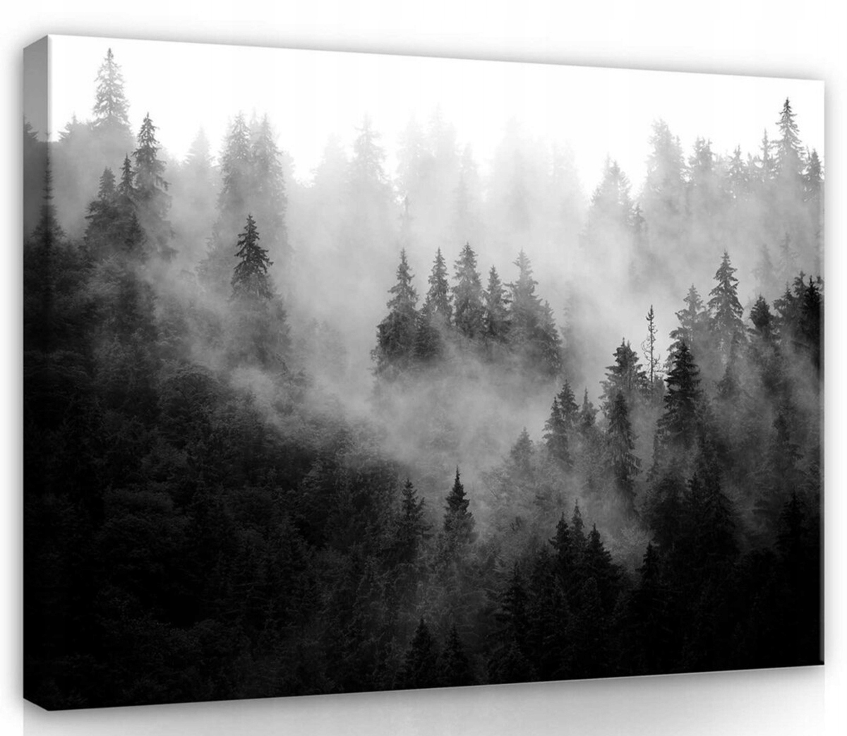 Obraz Na Plátně Canvas 100x75 Les Mlha Hory Pohled
