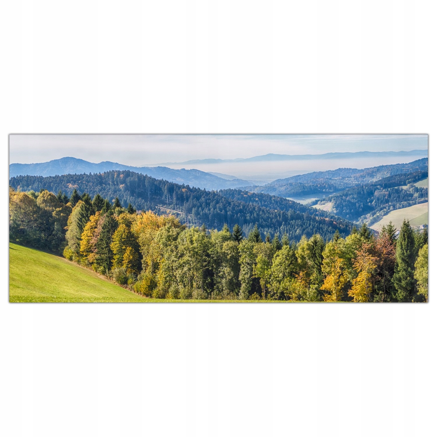 

Obraz Szklany Foto-obraz Las Góry Natura 125x50