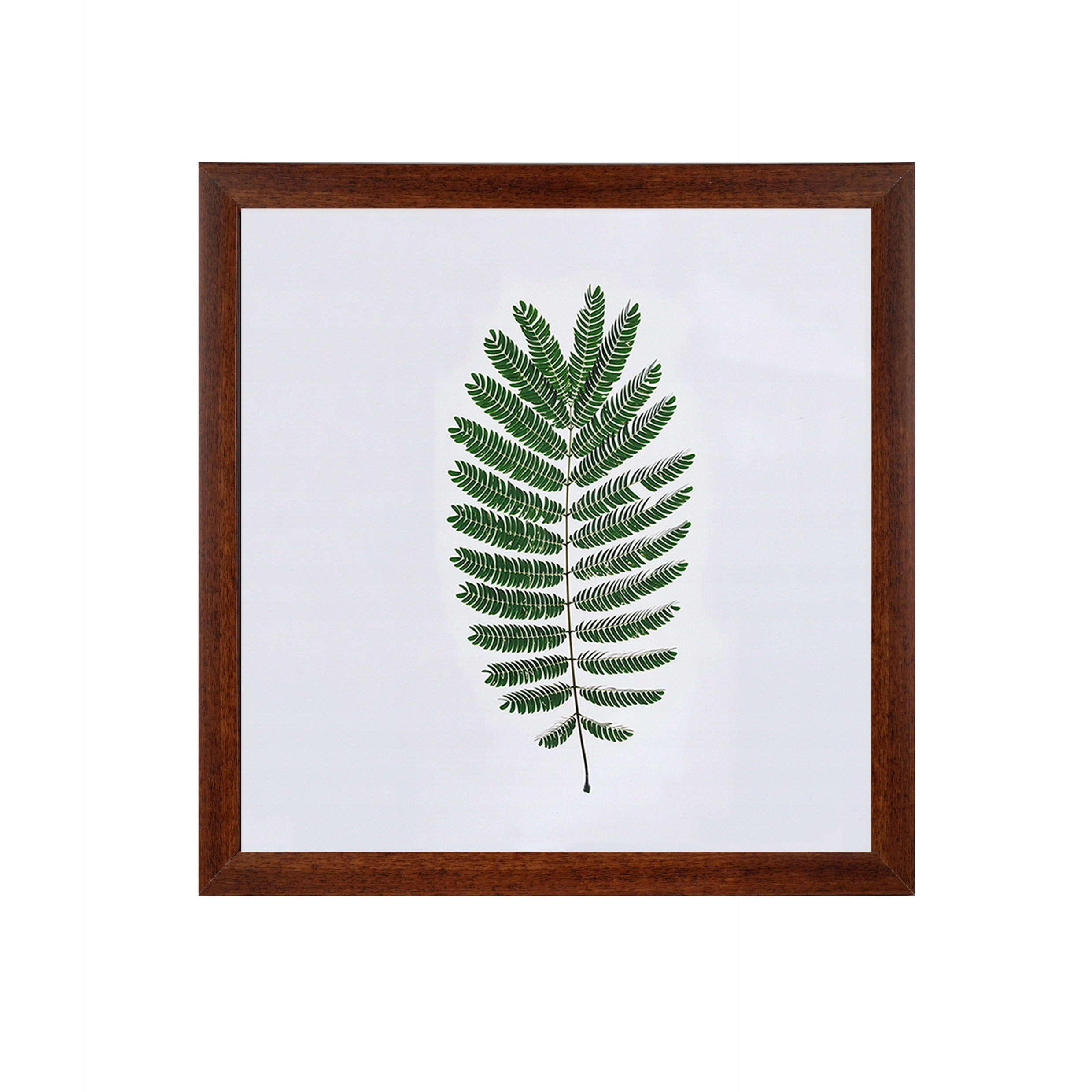 

Ramka na zdjęcia 40x40 Ramki Średni brąz