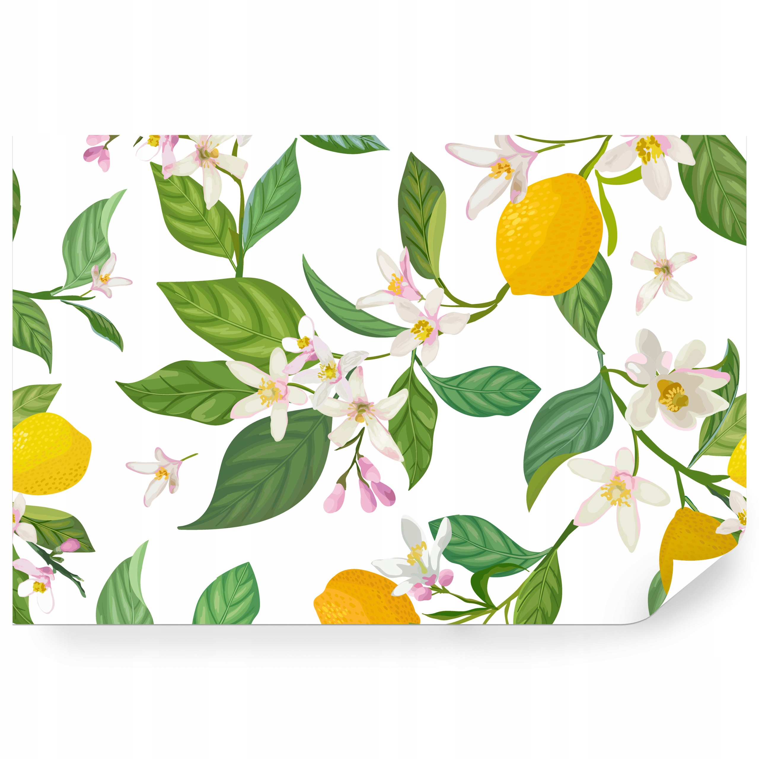 Fototapeta samolepicí Ilustrace Citrony Květiny Ovoce 400 x 280 cm