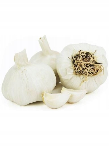 Levně 4 X Planet Česnek čerstvý Ekologická síťka cca 125 g Planet (Polsko)