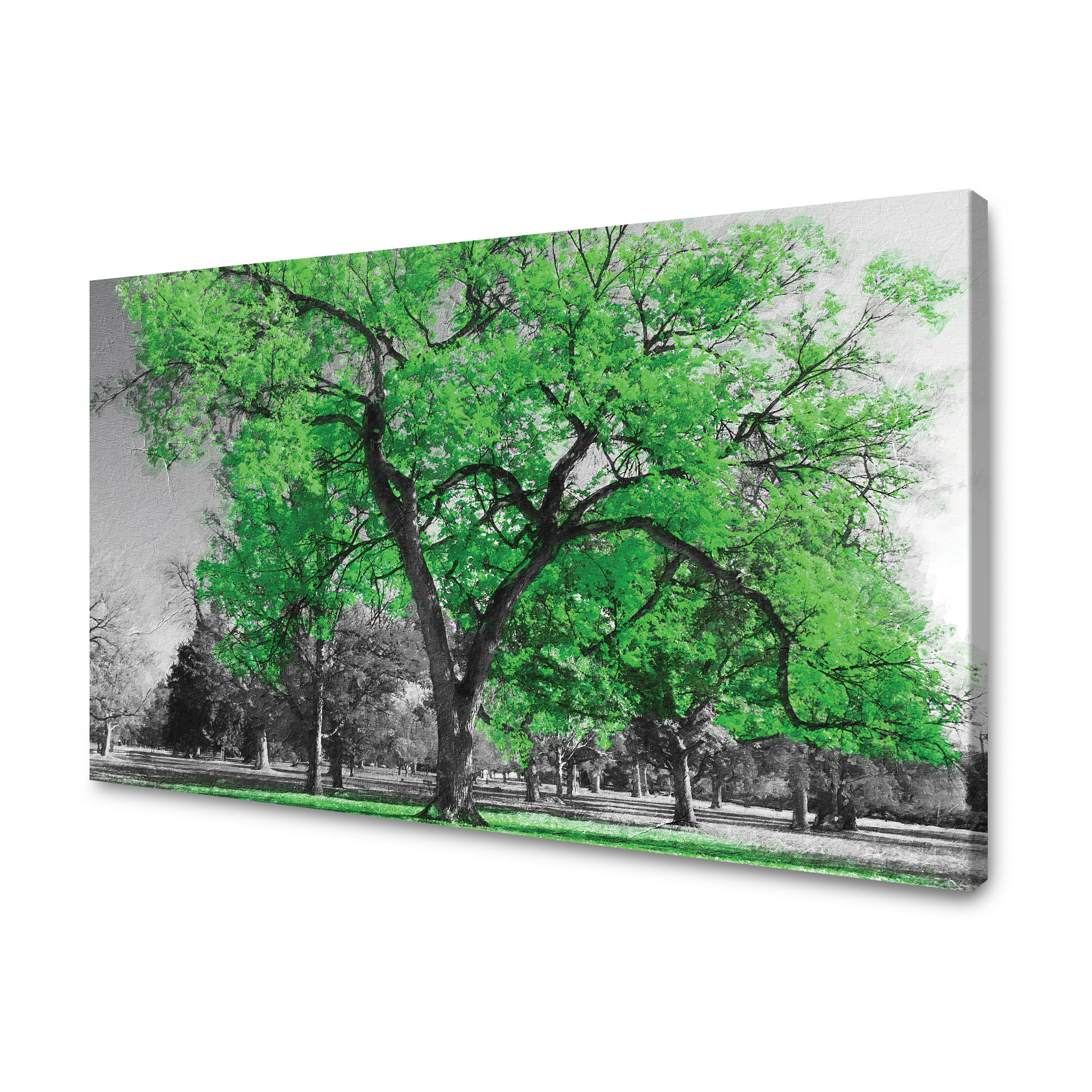 Obraz na plátně Černé Stromy Zelené Listy Umění 90x60 cm