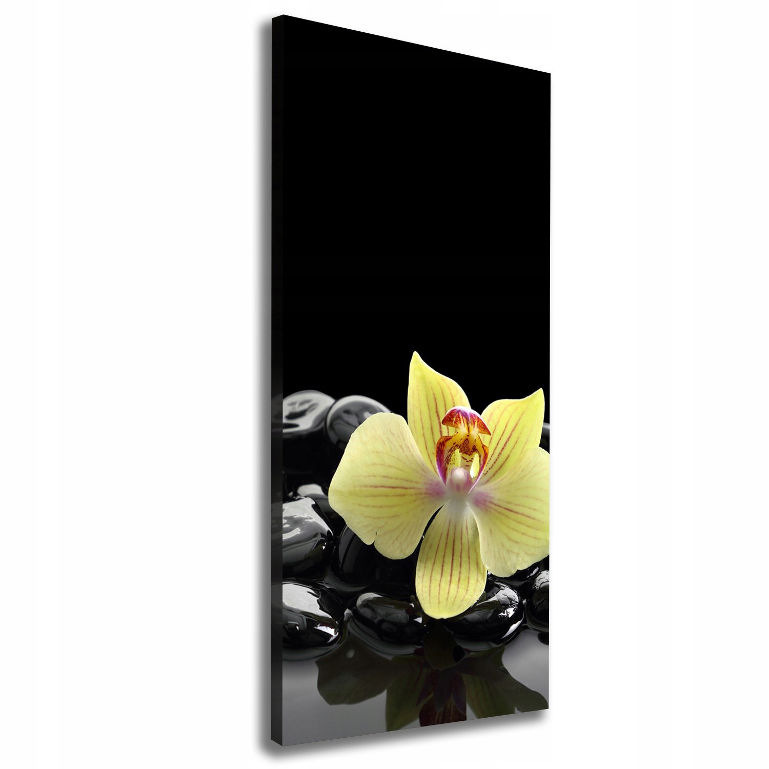 

Foto obraz na płótnie Orchidea i kamienie 50x125cm