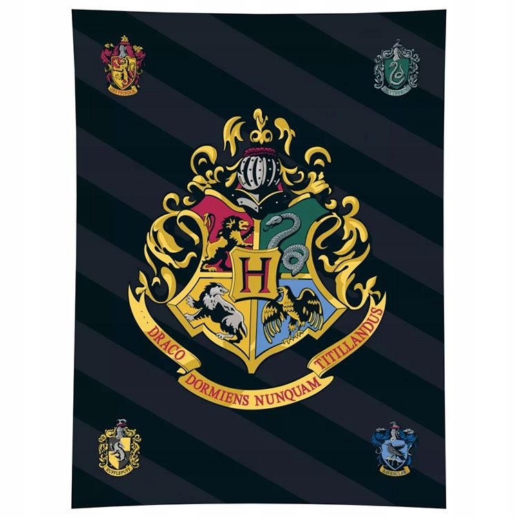 

Koc polarowy, kapa, narzuta: Harry Potter (007024)
