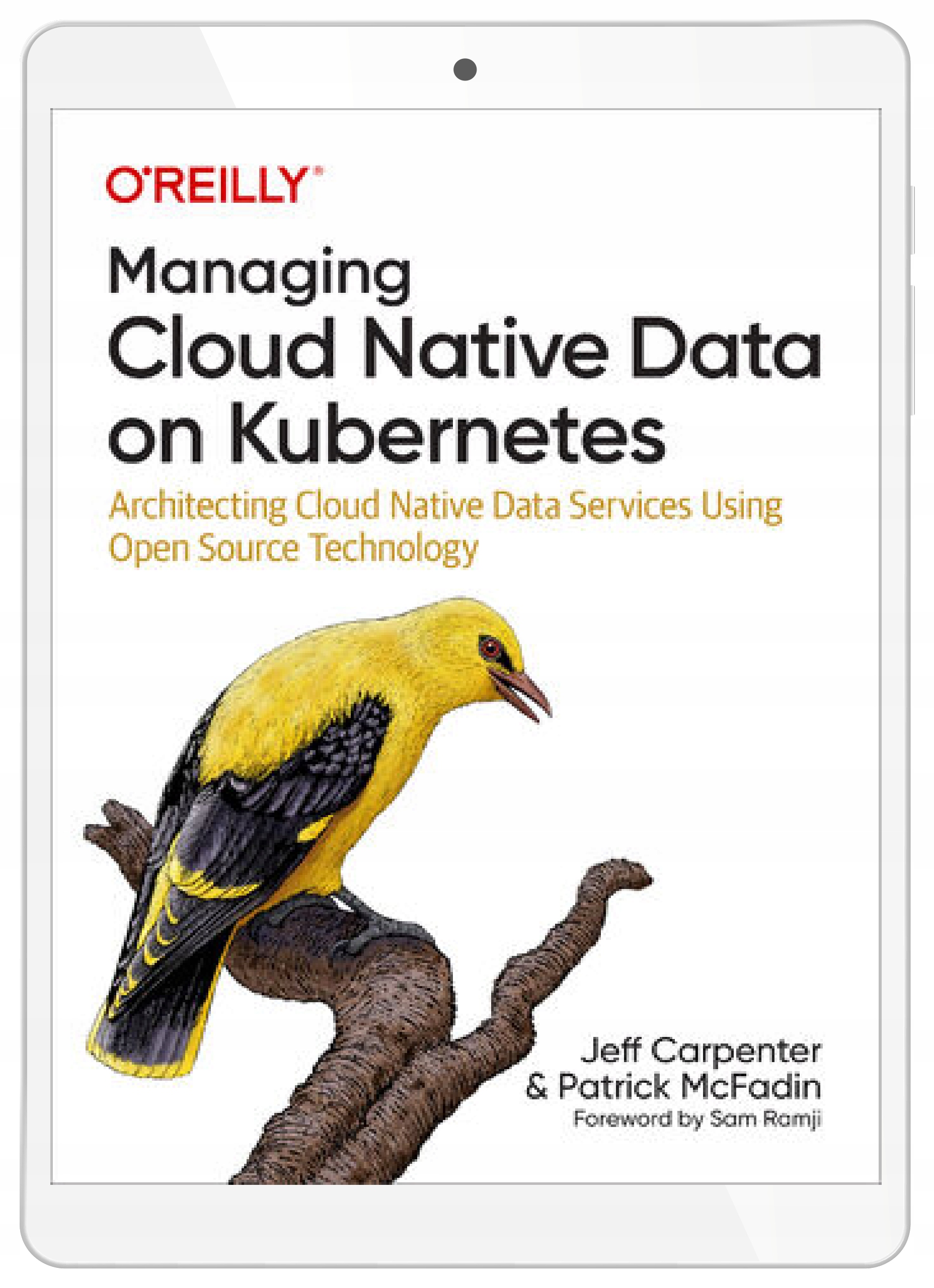 Managing Cloud Native Data on Kubernetes