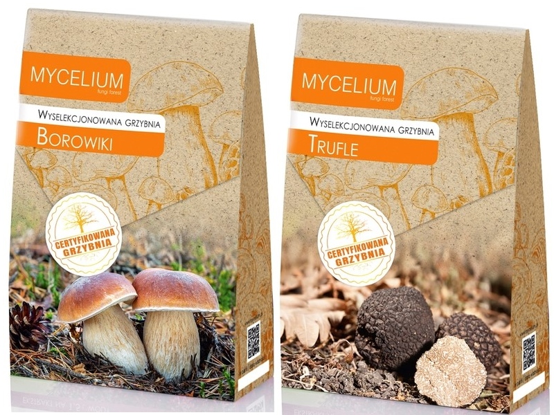 Levně Podhoubí Borowiki Lanýže sada 2 kusů