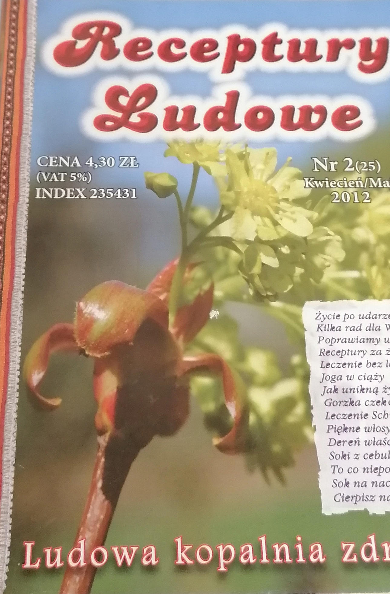 Receptury Ludowe Ludowa Kopalnia Zdrowia