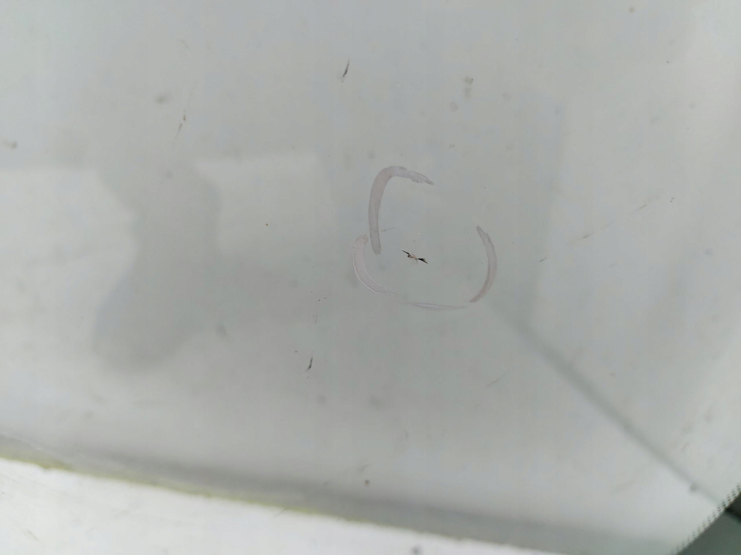 MERCEDES Sprinter W907 window front iron AS1 MERW907Szy8409