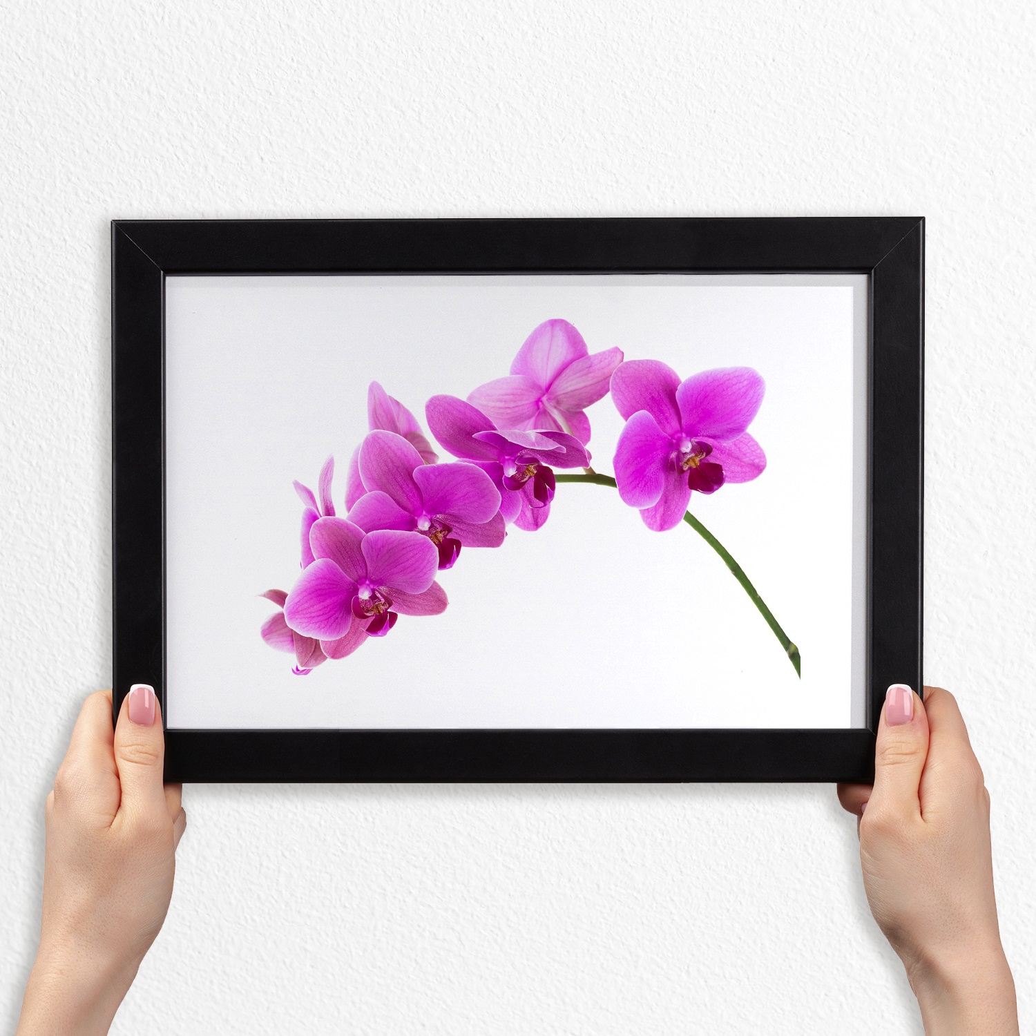 Foto obraz v rámečku mdf Růžová orchidej 30x20 cm