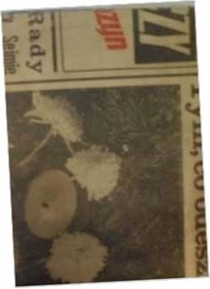 kodeks szachowy - S. Furs