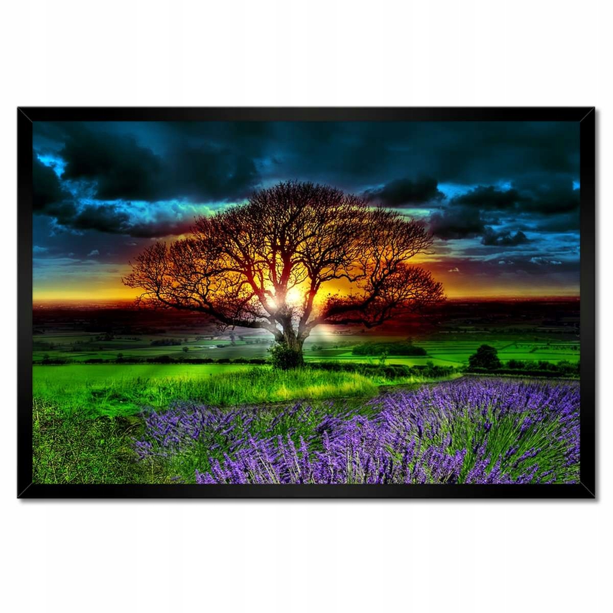 Plakáty v rámu 60x40 Strom života