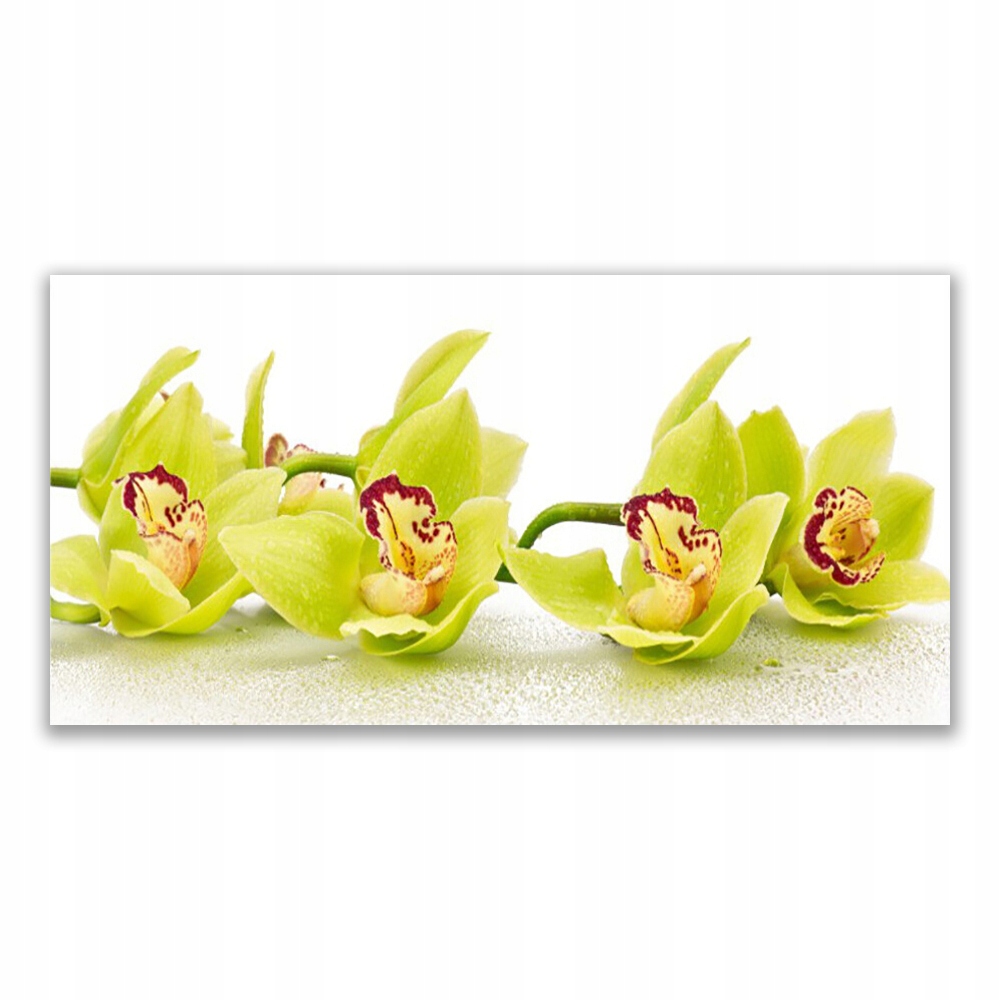 

Fotoobraz wiszący 120x60 Kwiaty Roślina Przyroda