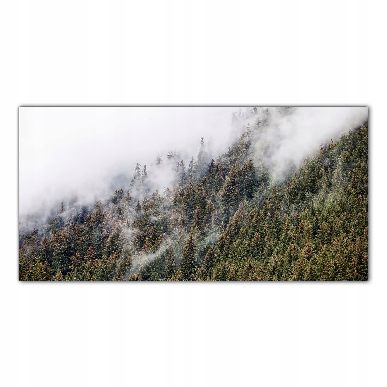 Obraz na skle Foto Mlha Stromy Hory Příroda 120x60