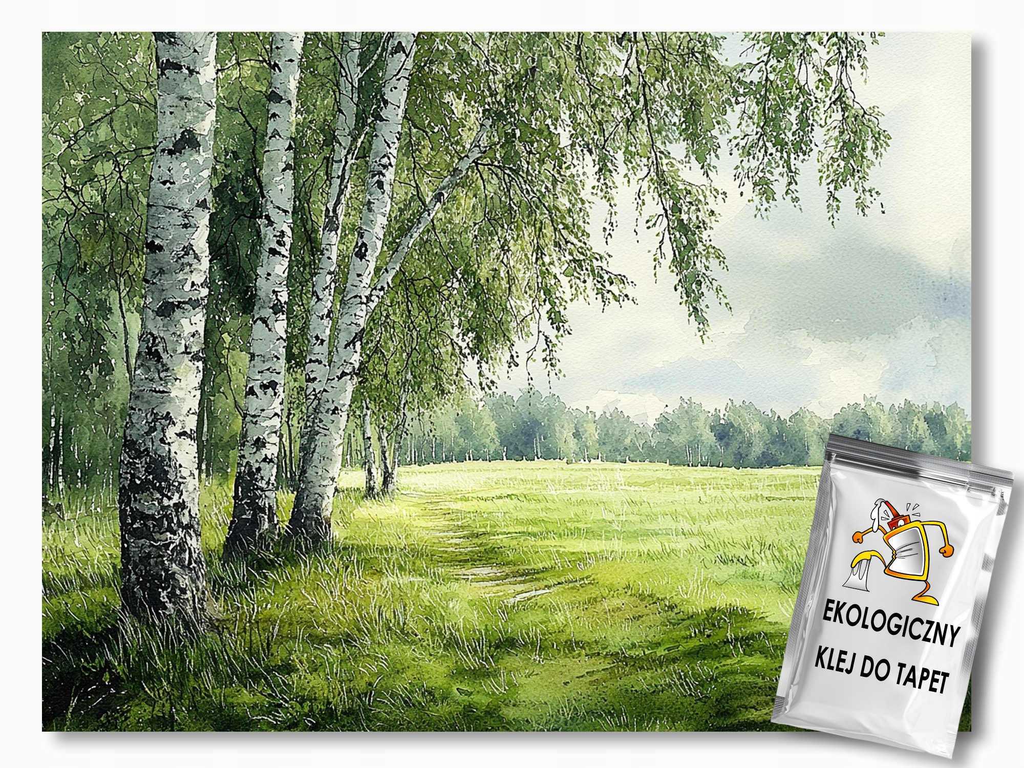 Fototapeta Flizelina Krajina Pohled Na Les Stromy Bříza Louka 208x146 130g