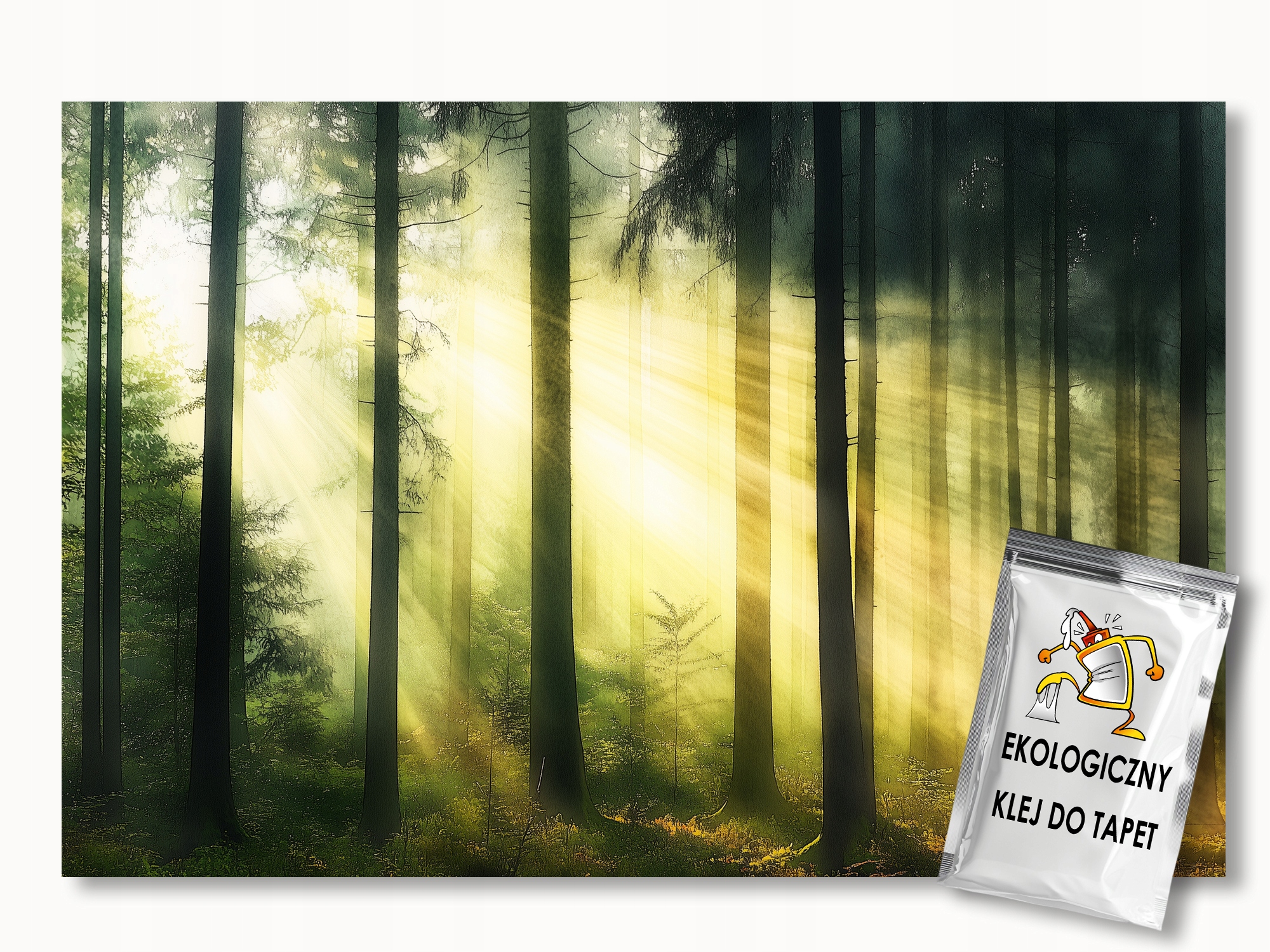 Fototapeta Flizelina Krajina Příroda Les Stromy Slunce Ráno 350x256 155g