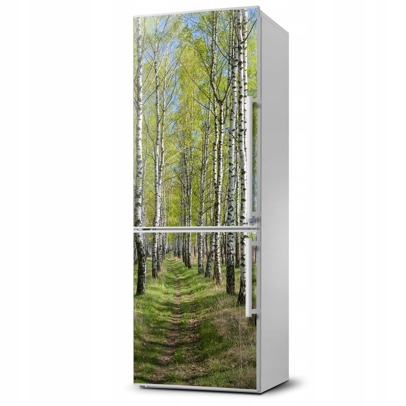 

Magnes na lodówkę magnetyczna Las brzozowy 60x180