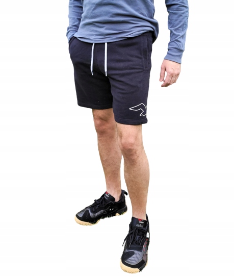 Kraťasy Abercrombie Hollister L