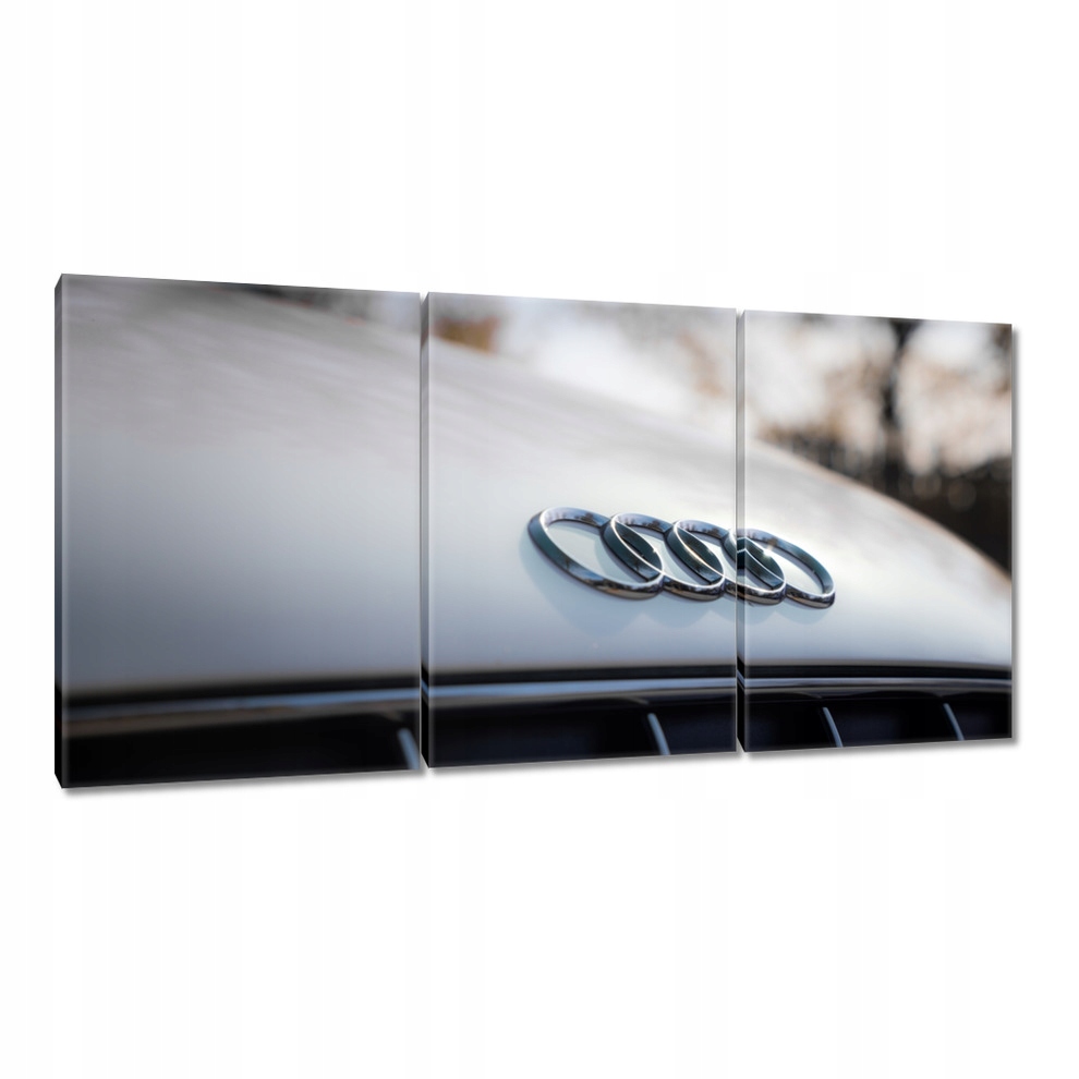 

Obrazy 120x60 Audi Piękne samochody